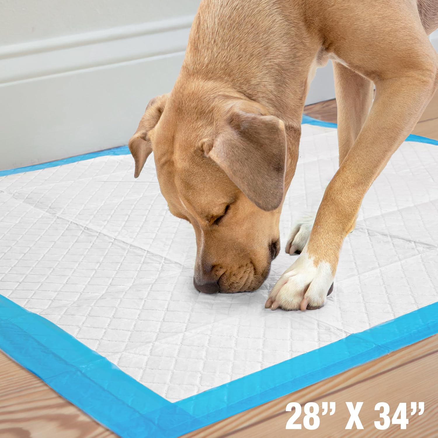 Four Paws Wee-Wee Superior Performance X-Large Dog Pee Pads, 40 Count | Puppy & dog potty training pads, housebreaking supplies, xl puppy pads, pet supplies, 24-hour floor protection, 28" x 34"