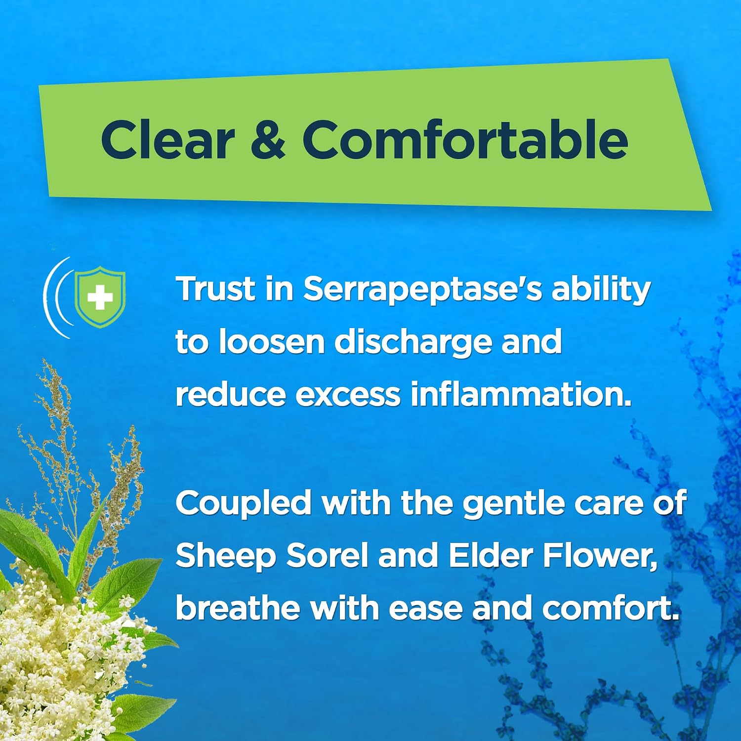 Natural Sinus Support – Serrapeptase, Elder Flower & Sheep Sorrel – Sinus Drainage, Nasal & Allergy Health