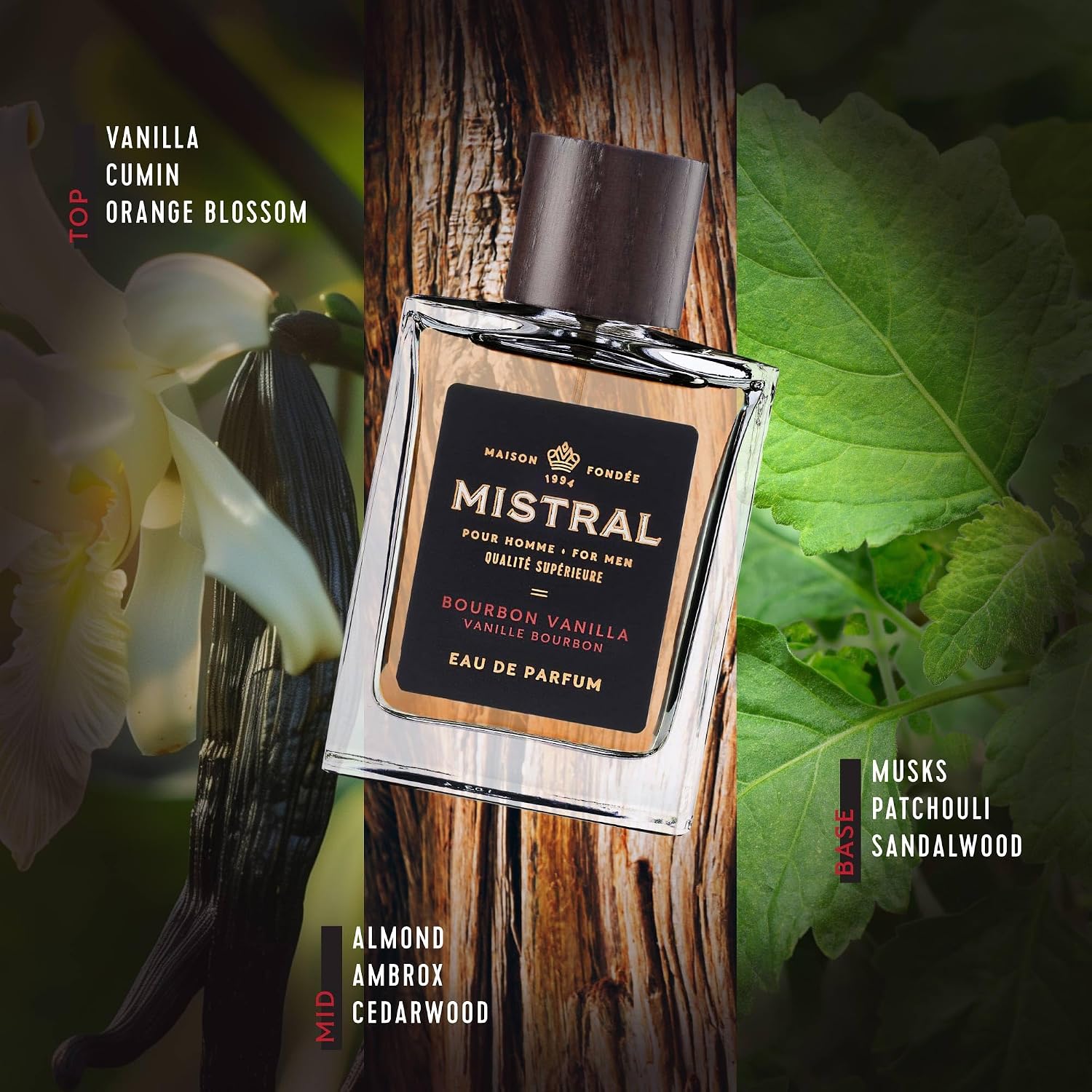 Mistral Bourbon Vanilla Eau de Parfum for Men, Men's Cologne, 3.4 Oz | Warm & Sweet Masculine Scent with Vanilla, Patchouli & Sandalwood, Cruelty-Free, Long-Lasting Perfume, Made in France