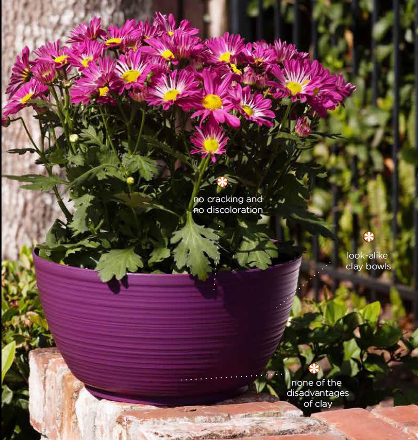 Bloem Willow 12" Plastic Plant Bowl, Deep Round Garden Pot, Peppercorn | Sealed plant bowl with knockout drainage, perfect for displaying herbs and succulents on indoor and outdoor surfaces.