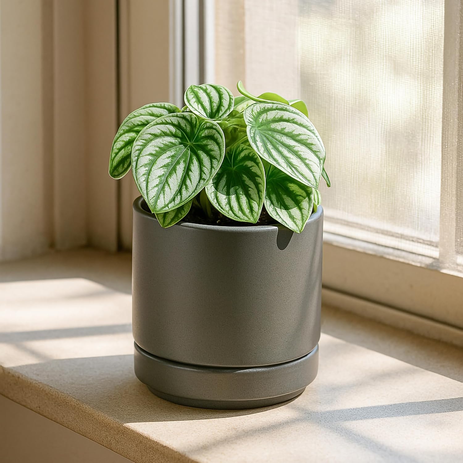 D'vine Dev 2-Pack Ceramic Pots with Saucers, White/Grey, 4.7 in, 94-V-B-6