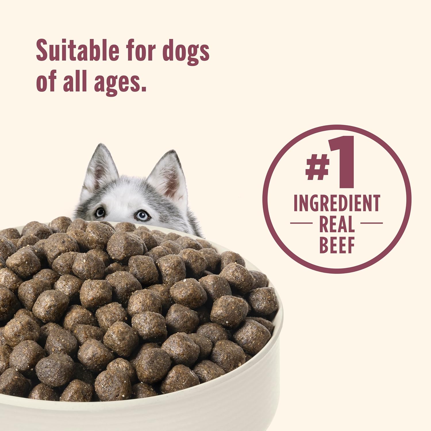 Nutrish High Protein Dry Dog Food, 23 lb. Bag (Rachael Ray)