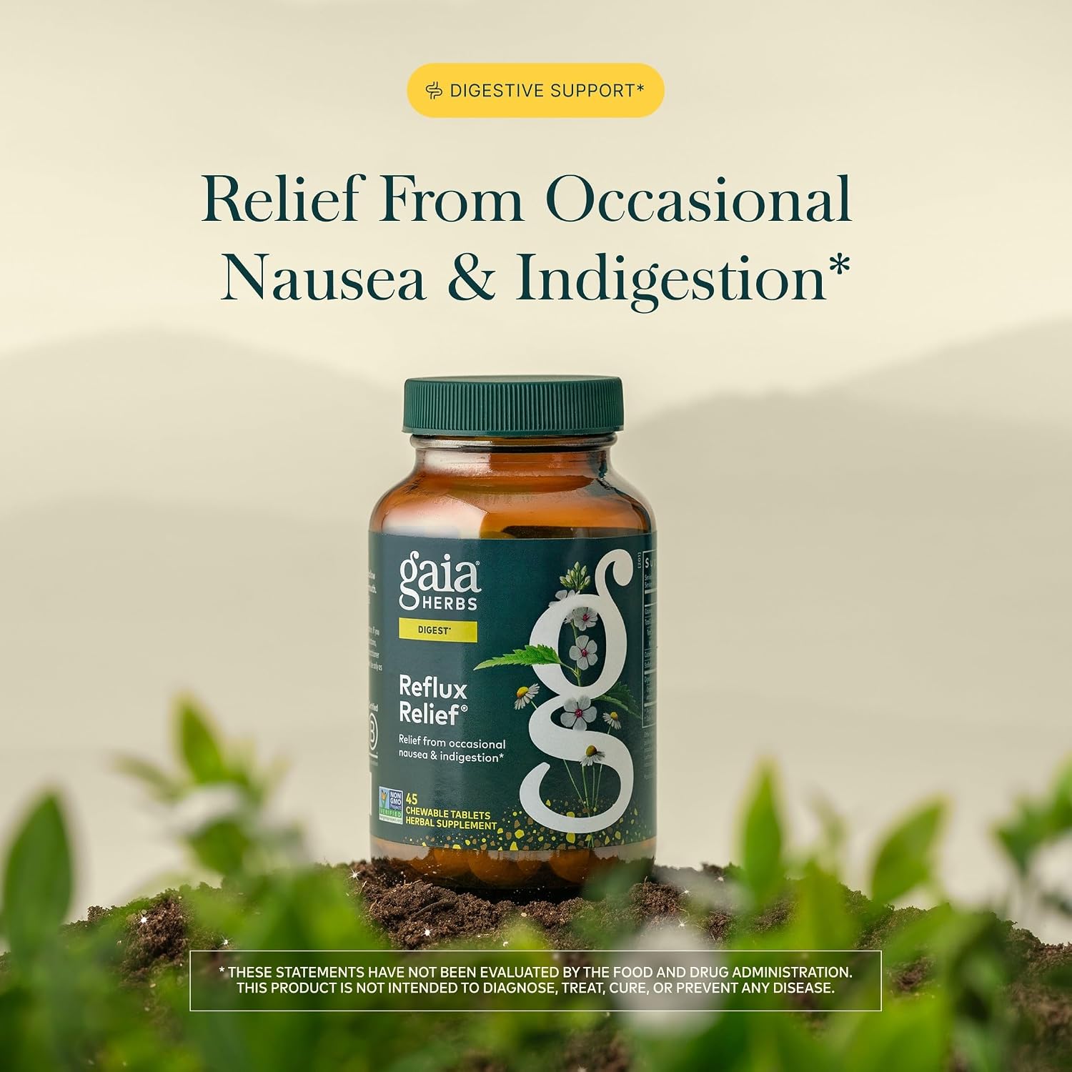 Gaia Herbs Reflux Relief - Digestive Comfort Support Supplement - Aloe Vera, Marshmallow Root, Chamomile