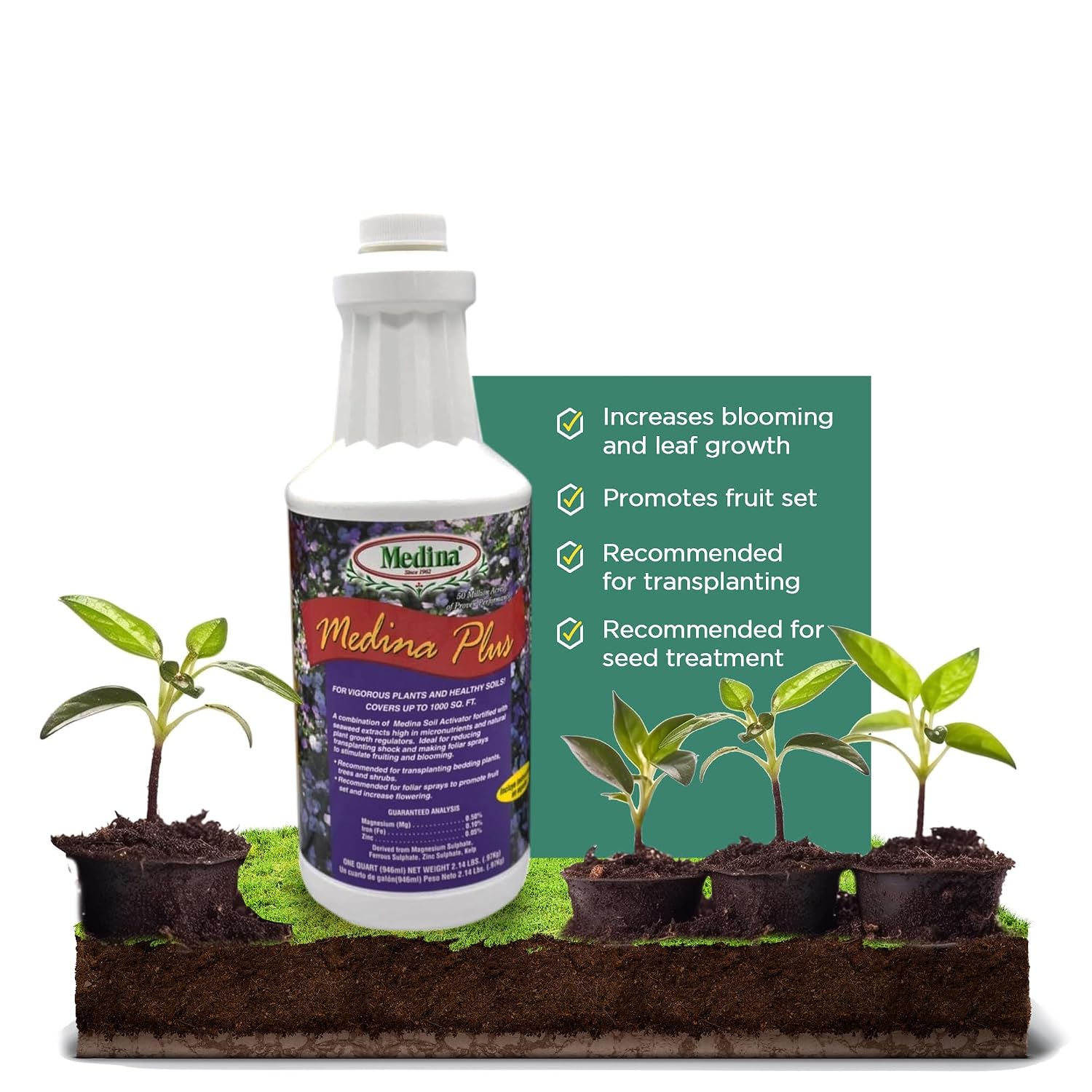Medina Plus Soil Activator - Liquid Soil Loosener for Lawns & Gardens - Micronutrient-Rich Soil Conditioner & Softener - Used with House Plant Fertilizer, Liquid Plant Food for Houseplants - 1 End Qt