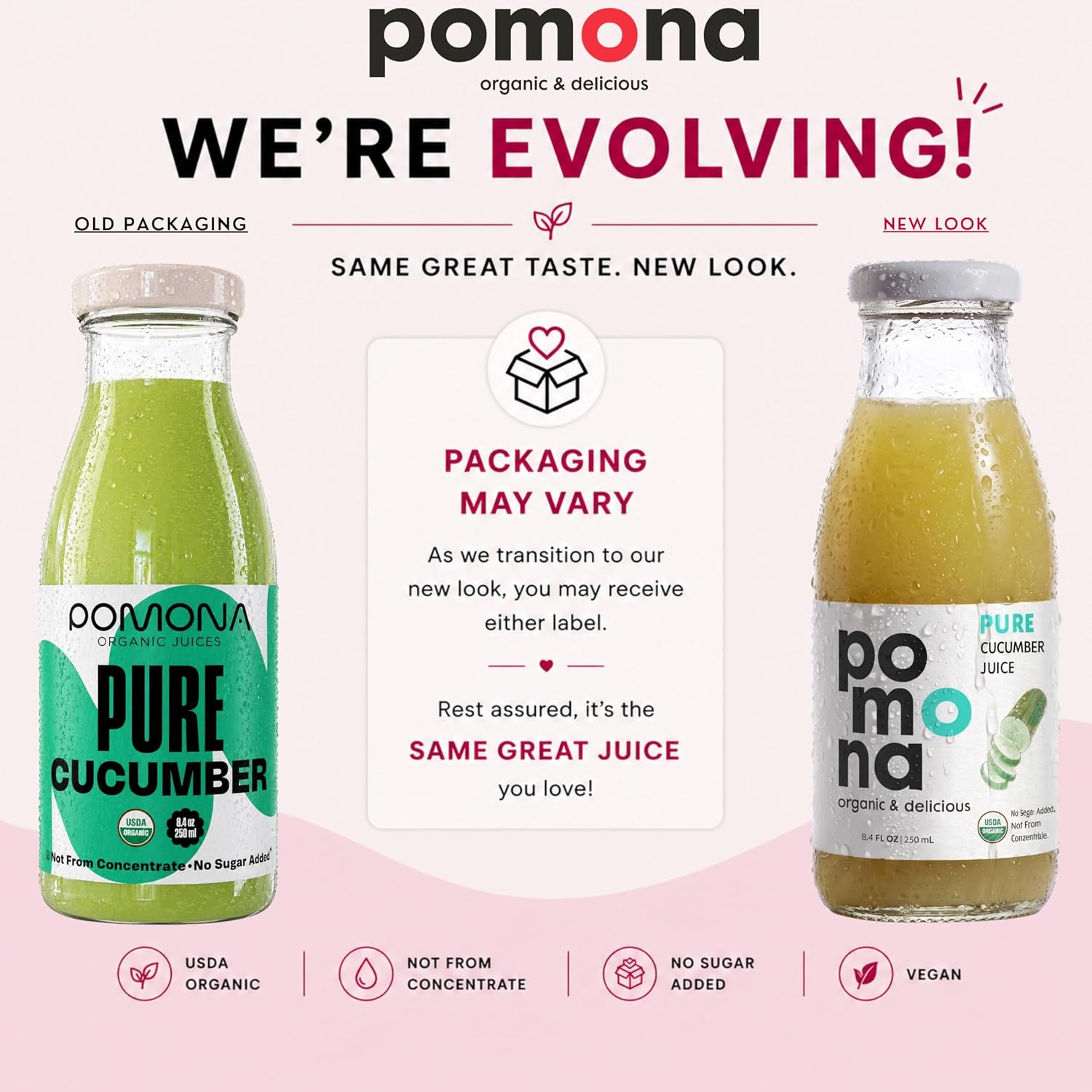 Pomona Organic Pure Black Cherry Juice, Cold Pressed Organic Juice, Non-GMO, No Sugar Added, Not from Concentrate, Gluten Free, Kosher Certified, Preservative Free 8.4 Ounce (Pack of 12),