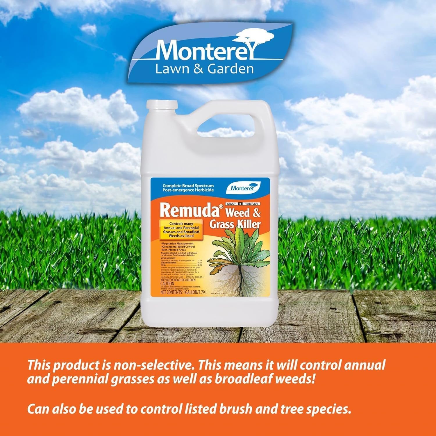 Monterey Remuda Weed & Grass Killer Complete Broad Spectrum Post-Emergence Herbicide - 1 Gallon Concentrate - Apply Using a Sprayer