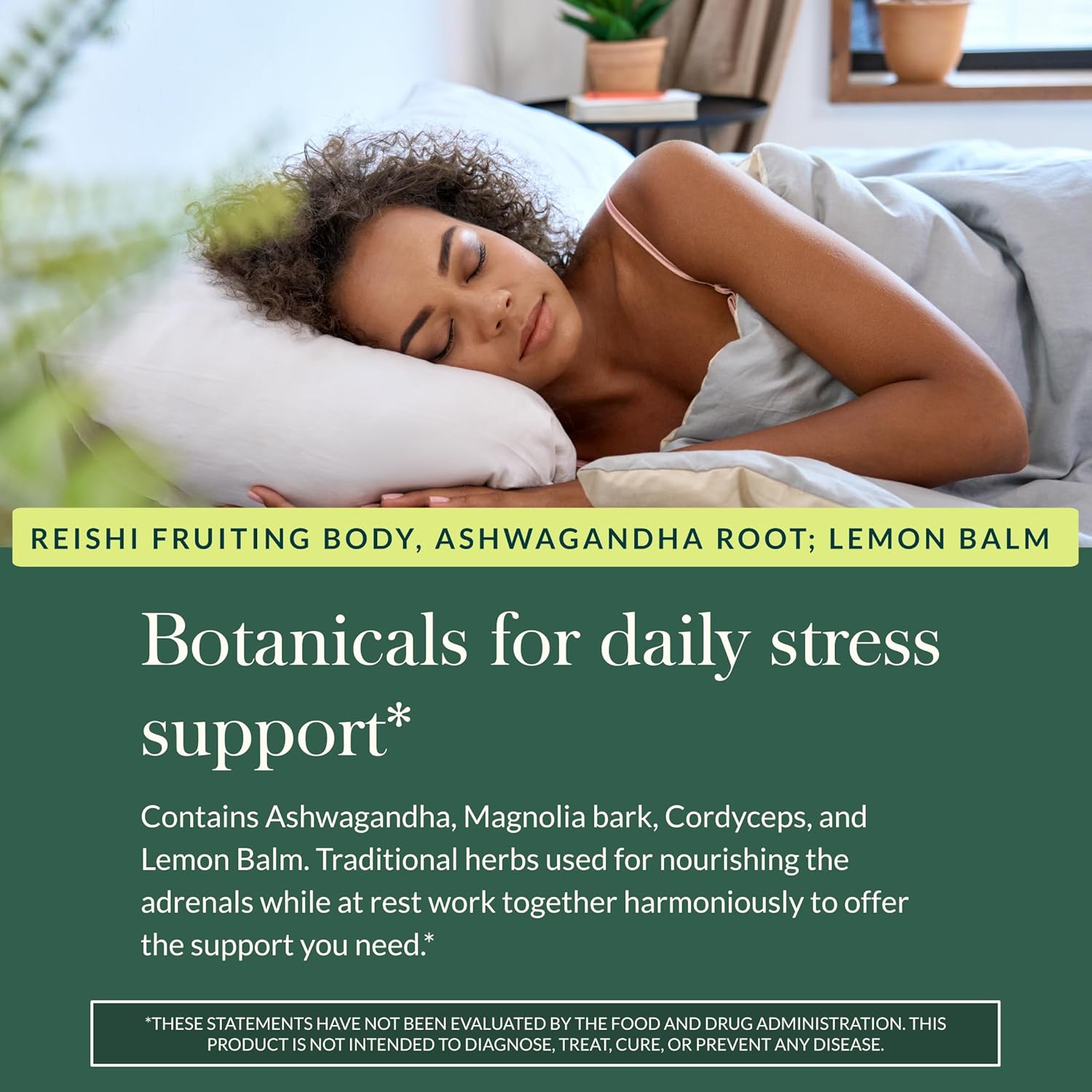 Gaia Herbs Adrenal Health Nightly Restore - Herbal Supplement with Ashwagandha, Magnolia Bark, Cordyceps, Lemon Balm & More* - 120 Vegan Liquid Phyto-Caps (60 Servings)
