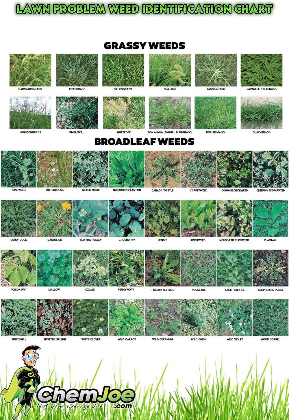 Turf King Weed Killer - 4 Gallon Case