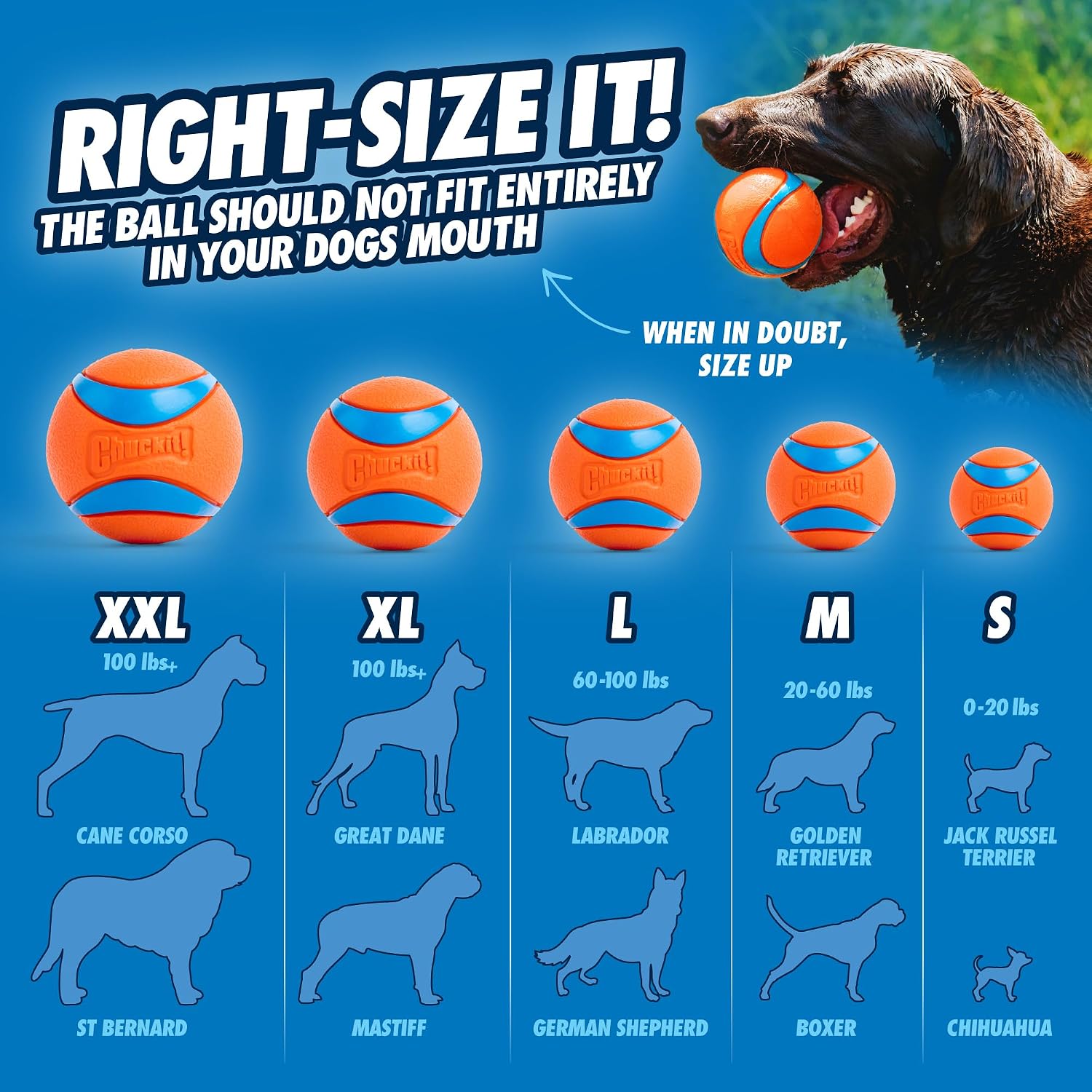 Chuckit! Pro 26L Dog Ball Launcher, 26" Length, Includes Large Ball (3") For Dogs 60-100 Pounds