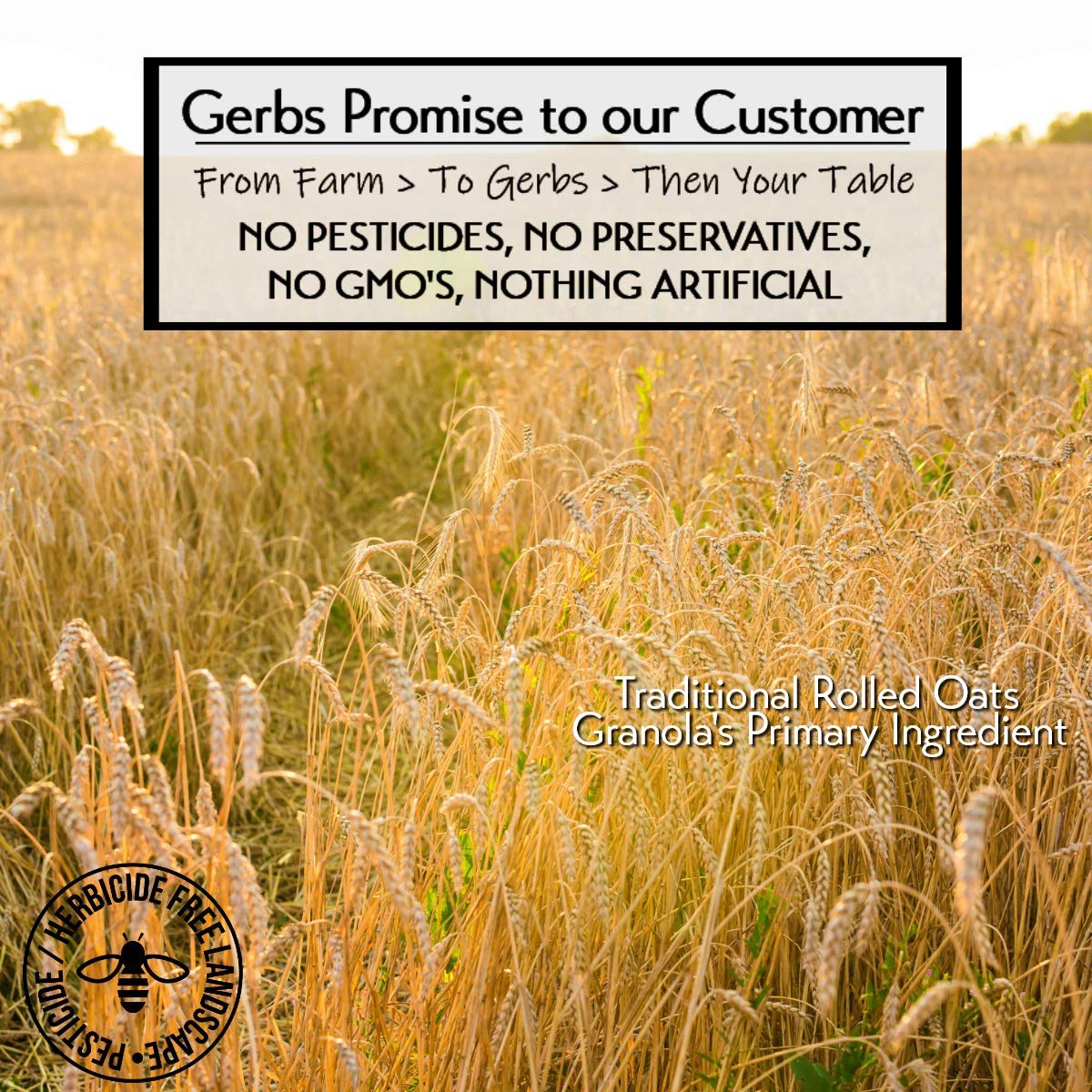 Gerbs Super 5 Seed Granola 2 lbs. | Small Batch, No Additives | Crunchy 5-Seed Blend: Pumpkin, Sunflower, Chia, Hemp & Flax | Top 14 Allergen-Free