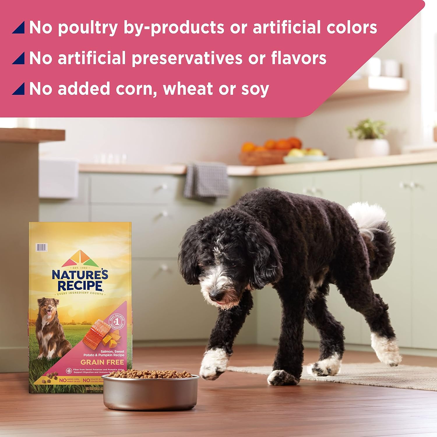 Nature's Recipe Grain Free Salmon Dry Dog Food, 24 lb. Bag | Fiber From Sweet Potatoes & Pumpkin Helps Support Digestion and Immune System Health