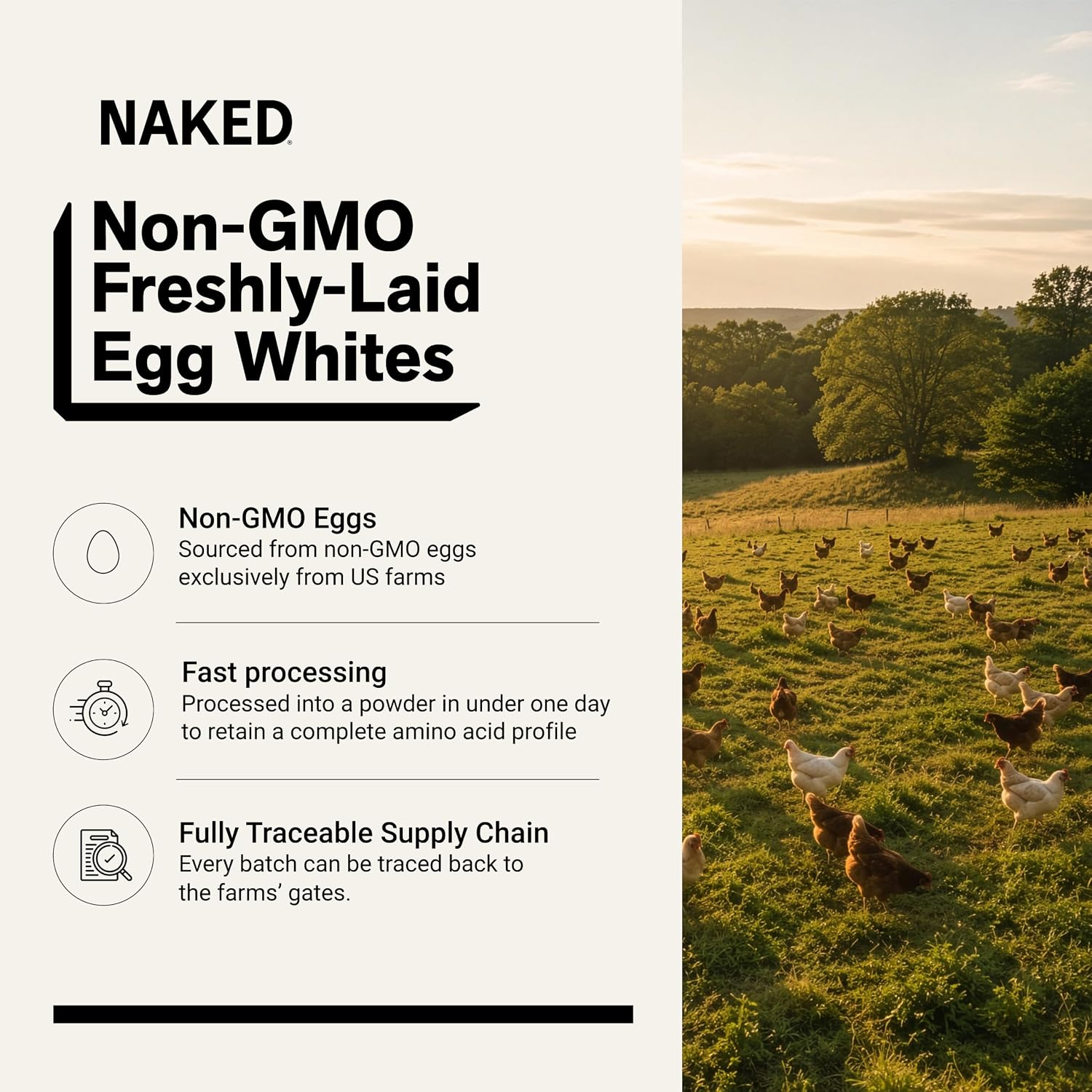 Naked 3LB Non-GMO Egg White Protein Supplement Powder, Unflavored, No Additives, Paleo, Dairy Free, Gluten Free, Soy Free – 25g Protein, 44 Servings