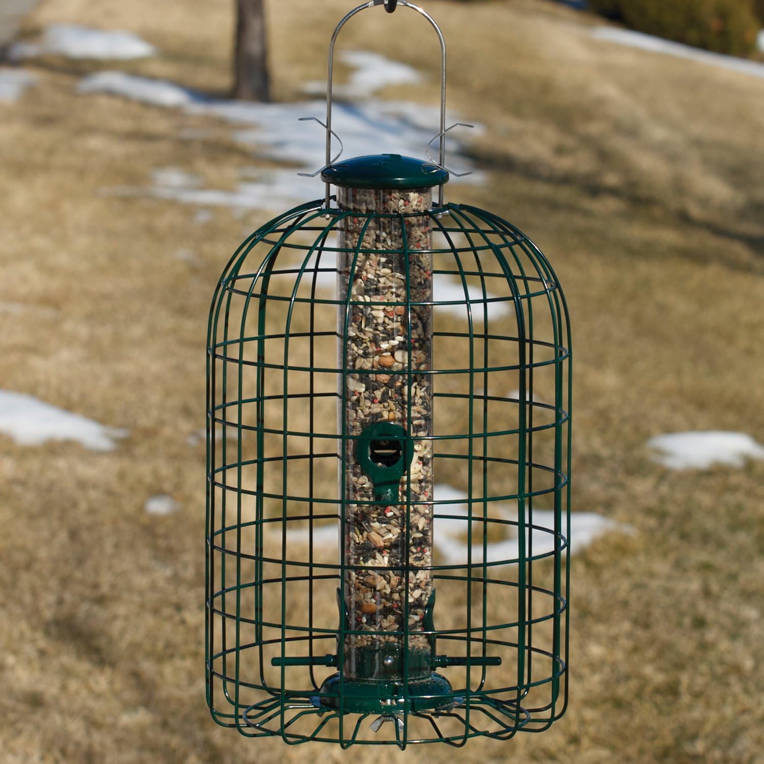 Audubon Squirrel Proof Caged Tube Feeder