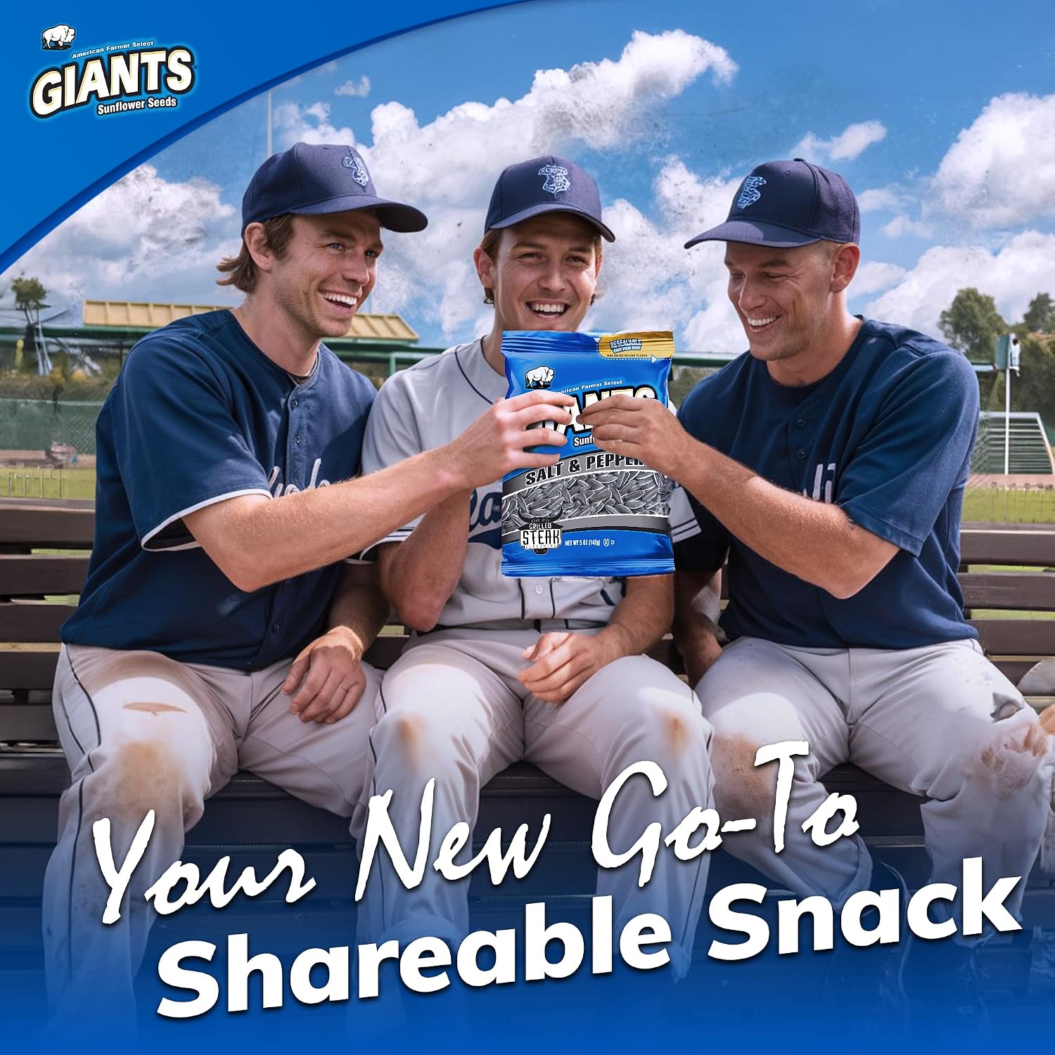 GIANTS Original Sunflower Seeds - Sunflower Seeds to Eat, Sunflower Seeds Bulk, Lightly Salted Sunflower Seeds for Eating, High Protein Snack - 5.75 oz Resealable Bags (Case of 12)