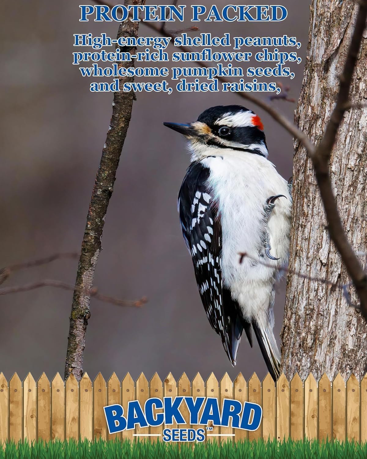 Backyard Seeds Woodpecker No-Waste Bird Seed Mix 5lbs - Premium Shelled Peanuts & Sunflower Chips, Small Bag of Wild Bird Food