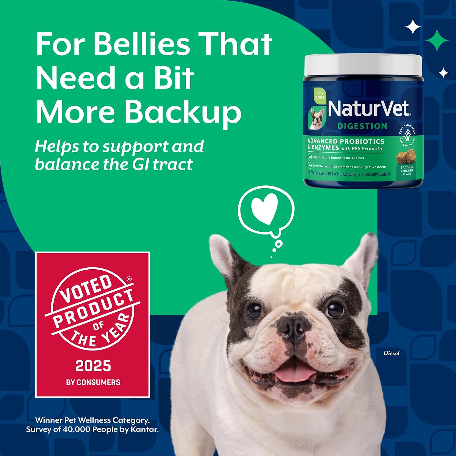 NaturVet Digestive Enzymes with Pre & Probiotic for Dogs & Cats - 8 oz | Supports Diet Changes & a Healthy Digestive Tract with Prebiotics, Powder