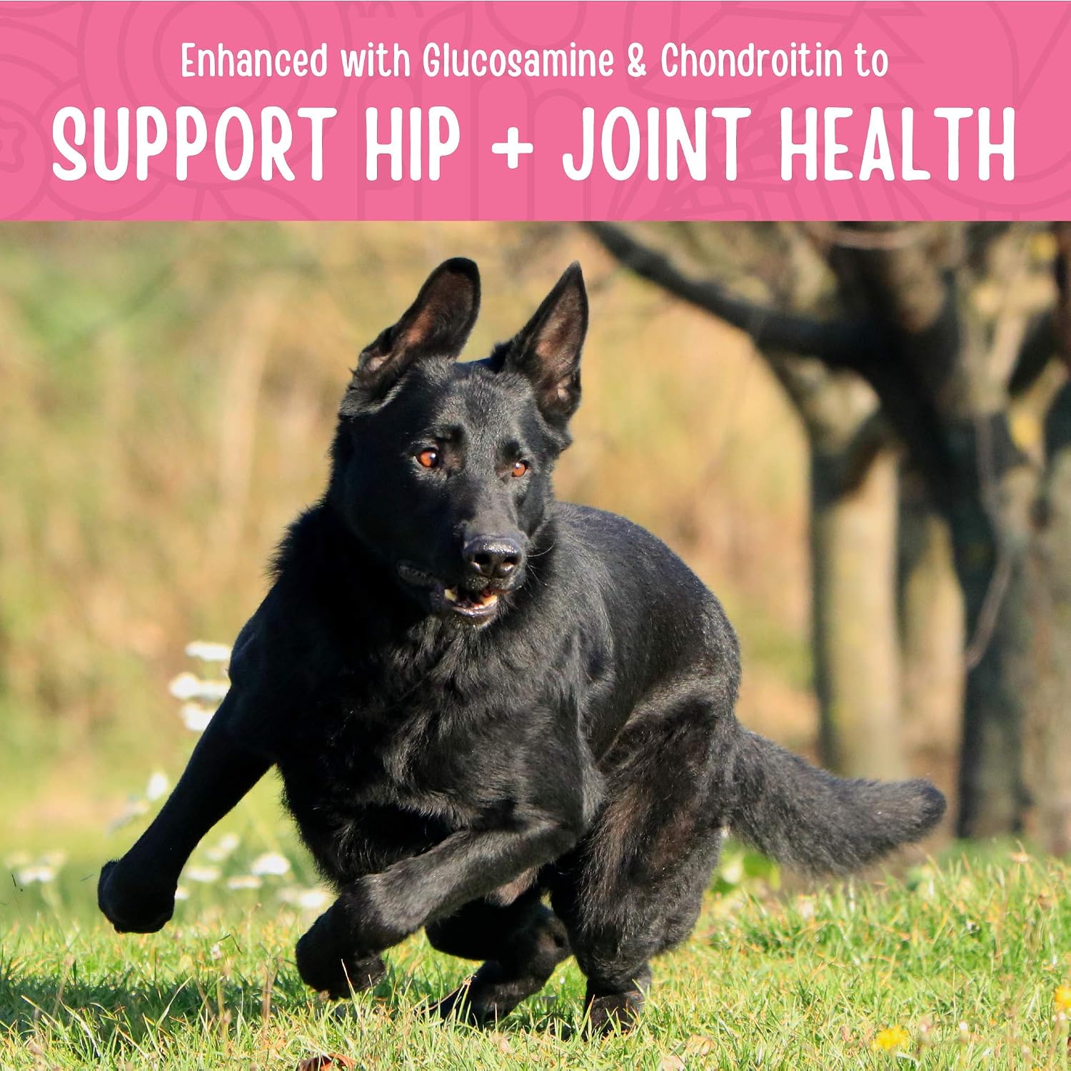 Full Moon® Chicken Jerky Hip And Joint Dog Treats 12 oz | Made withchondroitin, glucosamine and turmeric, Human Grade, No corn, No wheat, No soy, Glycerin Free, Made in the USA