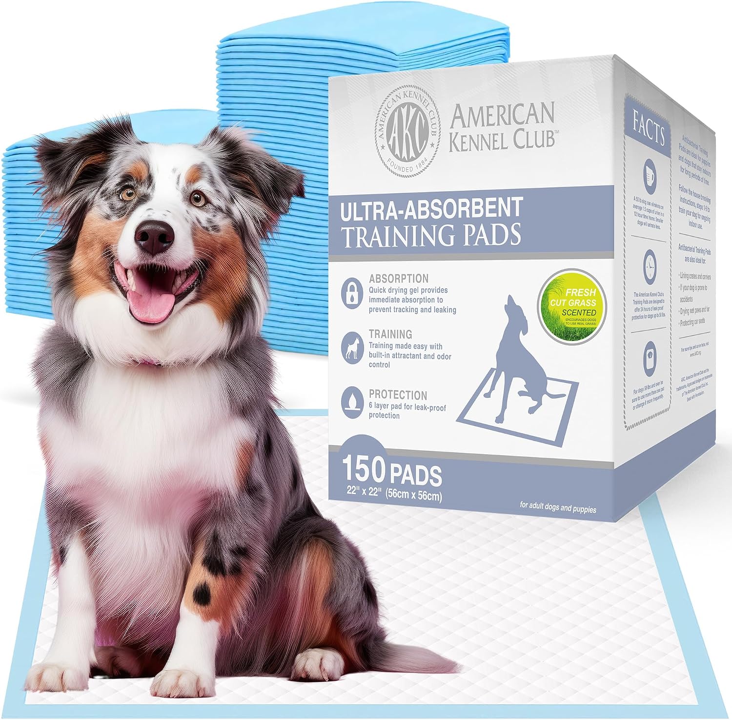 AKC Puppy Training Pads, 22" x 22", Lavender Scented, 150 Count