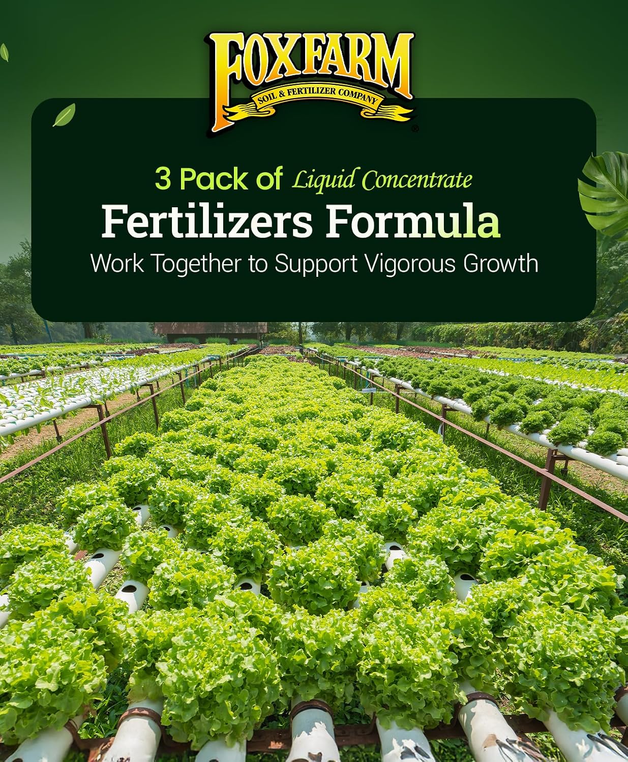 FoxFarm Hydro Liquid Trio Pack - Big Bloom, Grow Big Hydroponic, Tiger Bloom Fertilizers for Plant Growth, Bud Development & Abundant Fruit - Complete Hydroponic Plant Food Set - 3 Pint Bottles