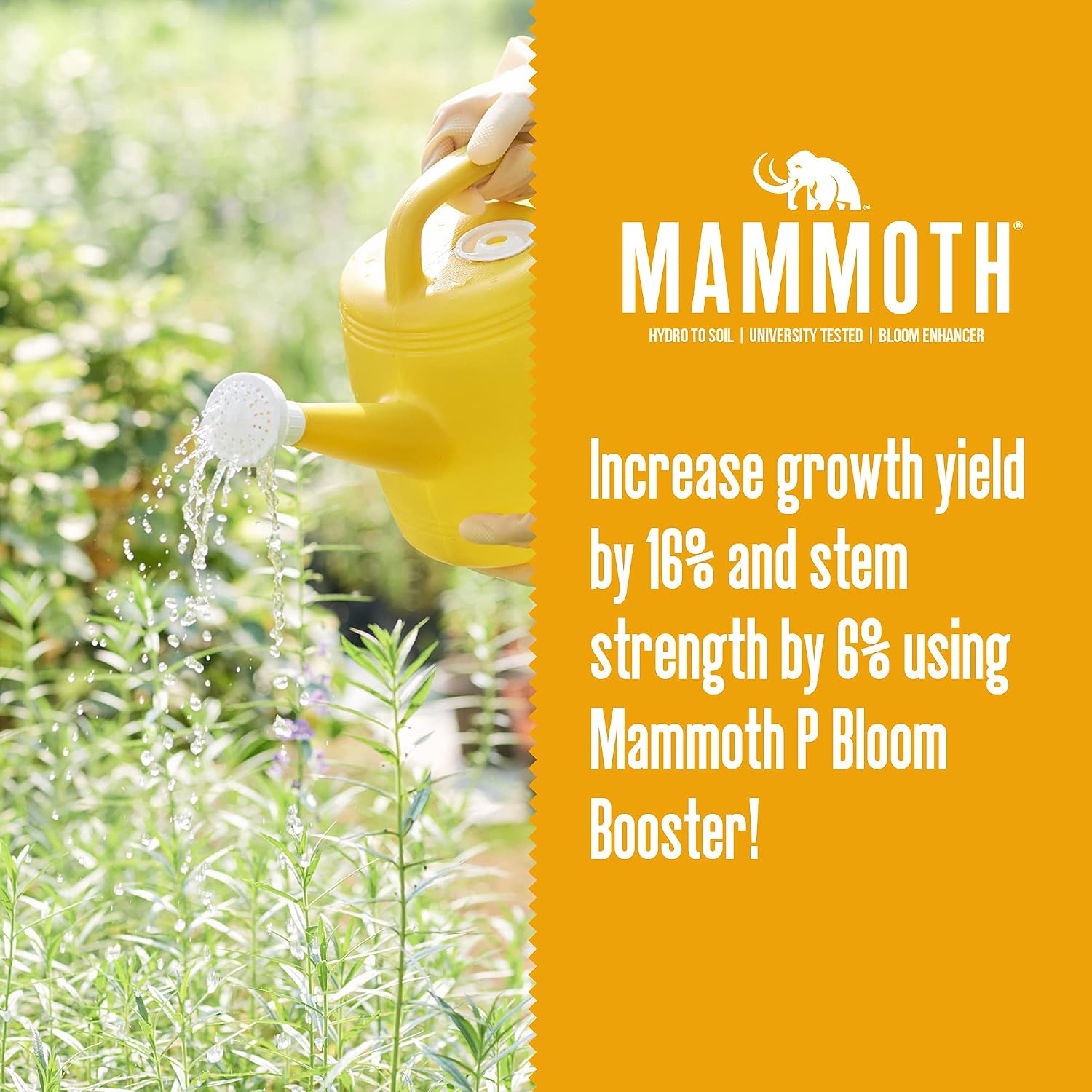 Mammoth Organic Bloom Booster | Mammoth P Organic Fertilizer Microbial Inoculant | 16% Proven Increase in Yield (250 ml)