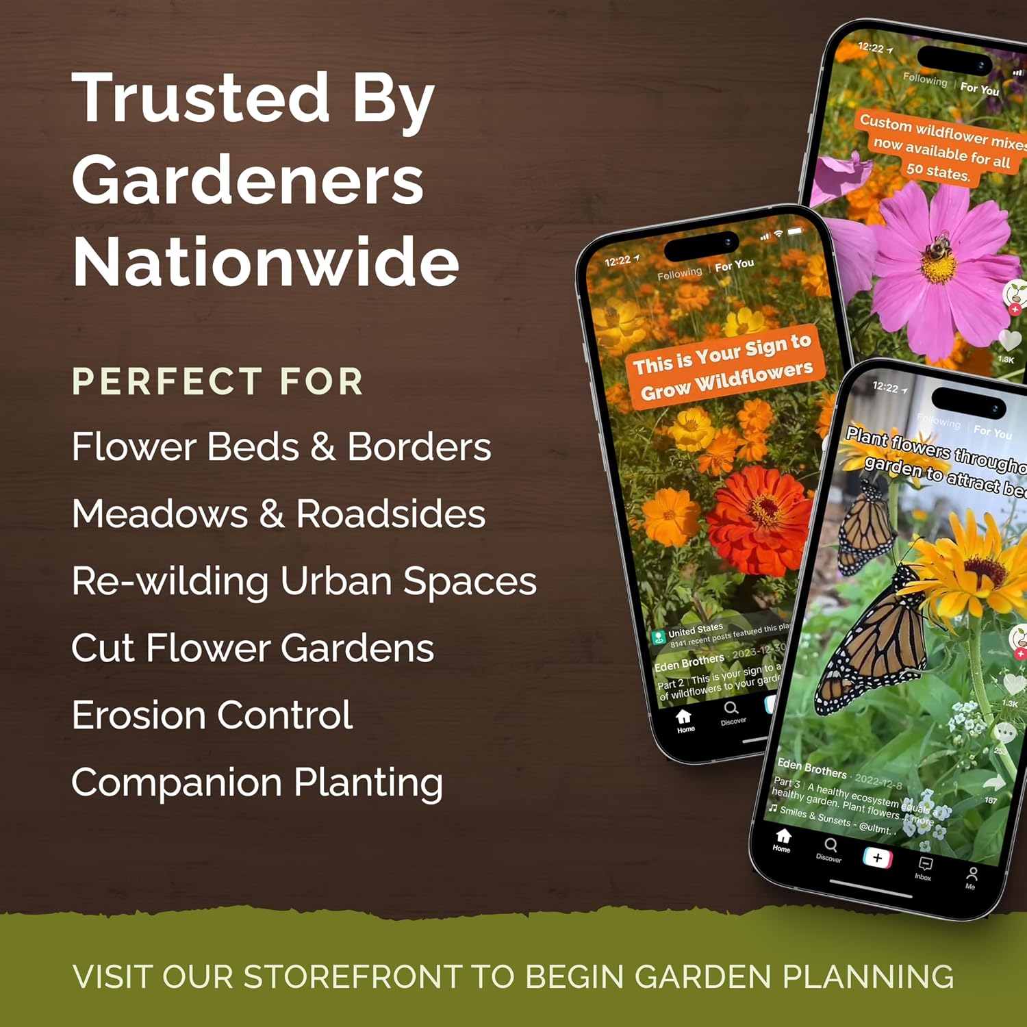 Eden Brothers All Perennial Wildflower Mixed Seeds for Planting, 1 lb, 480,000+ Seeds with Lupine, Shasta Daisy | Attracts Pollinators, Plant in Spring or Fall, Zones 3, 4, 5, 6, 7, 8, 9, 10