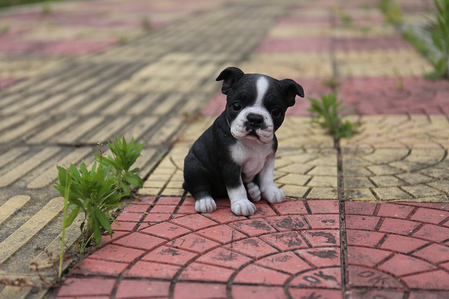 Hi-Line Gift Ltd Sitting Boston Terrier Puppy Statue