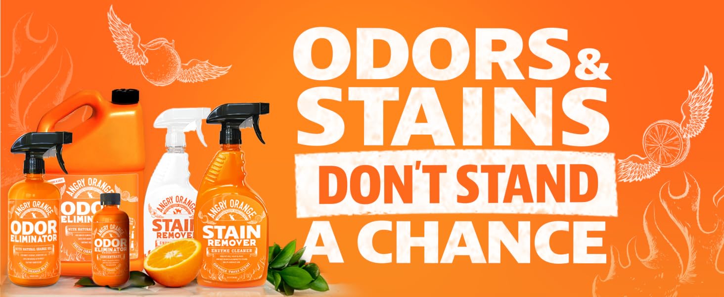 Odors &amp; stains don't stand a chance