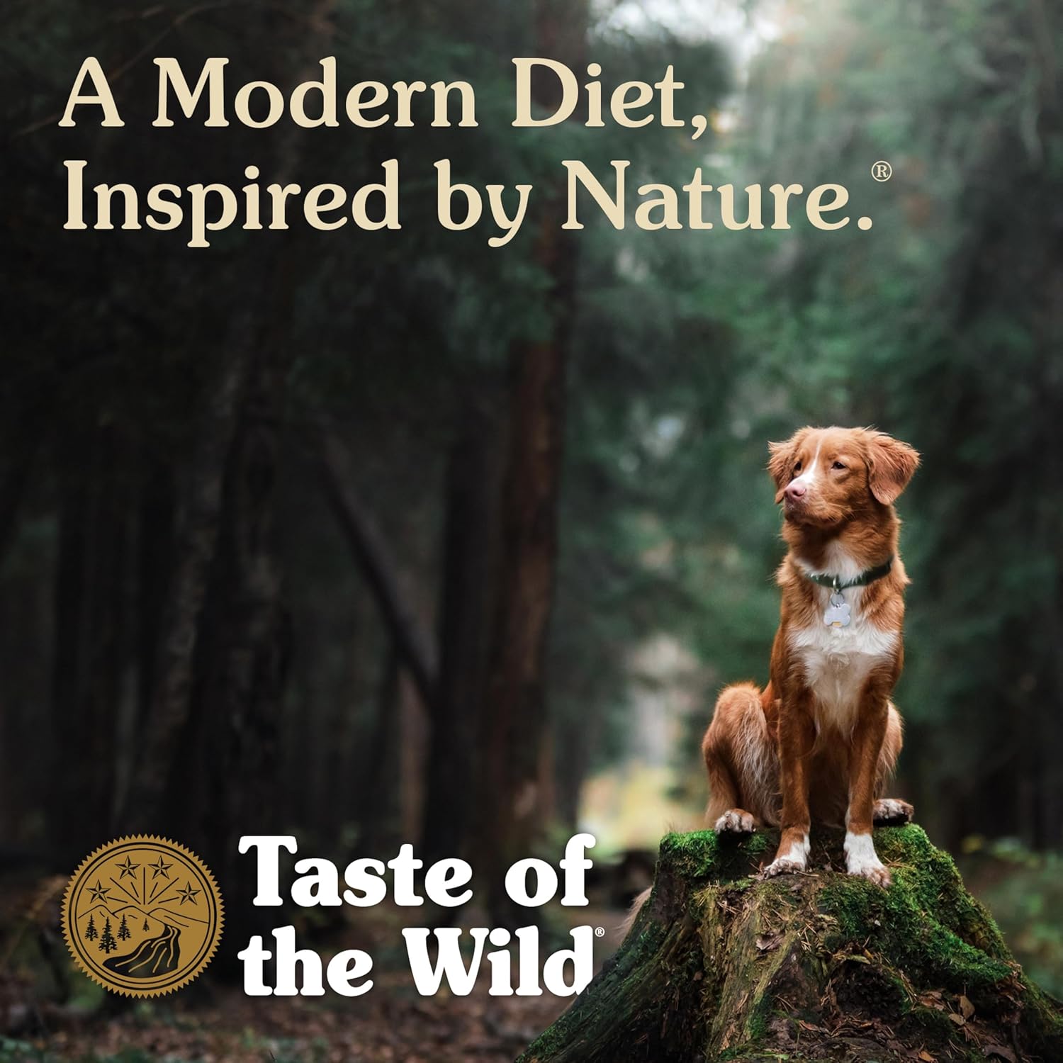 Taste of the Wild Pacific Stream Adult Dry Dog Food, Salmon, 5lb | Grain Free Recipe* | Nutrient Dense to Help Support Peak Health | Guaranteed Omega Fatty Acids to Help Support Skin & Coat