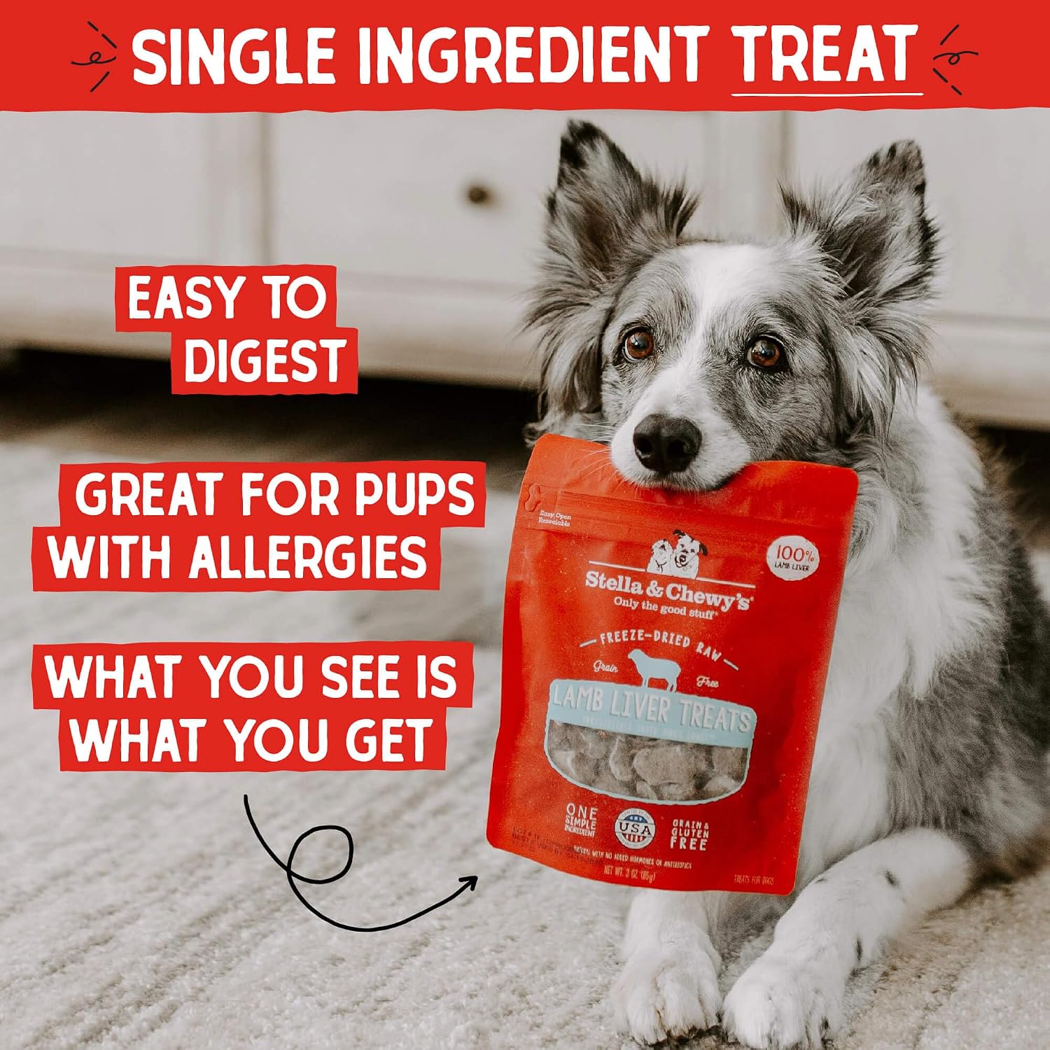 Stella & Chewy's Freeze-Dried Raw Lamb Heart Dog Treats - Single Ingredient, No Additives - Premium Training Treats - Perfect For Picky Eaters - 3oz Bag