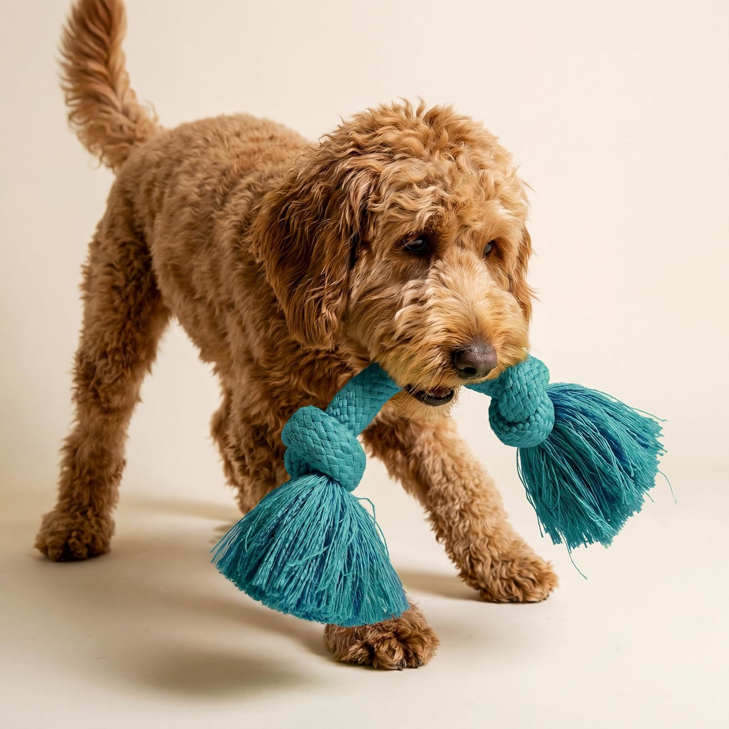 Playology Tug Rope Dog Toys for Large Breed Dogs - Jumbo, Beef Scent