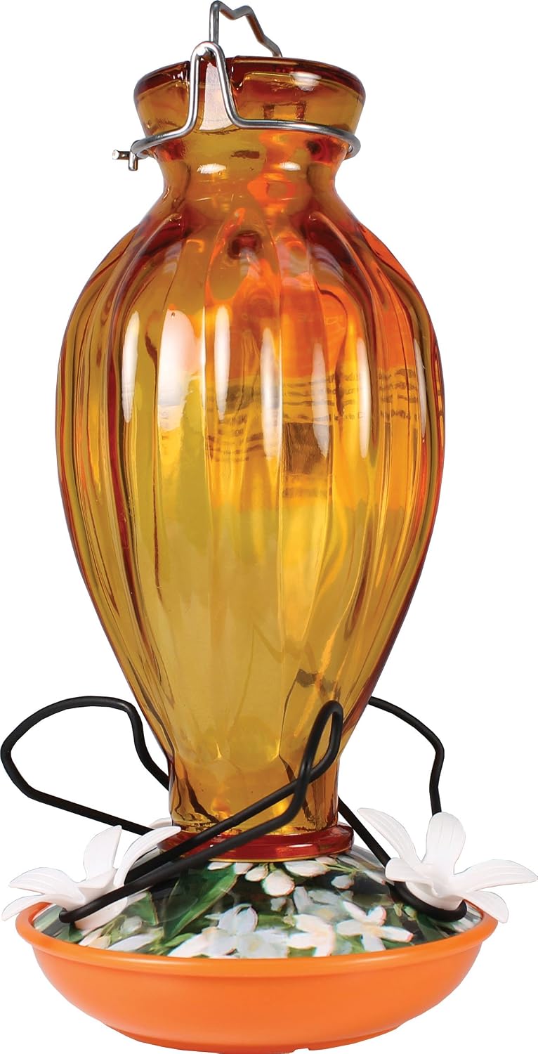Fluted Oriole Feeder