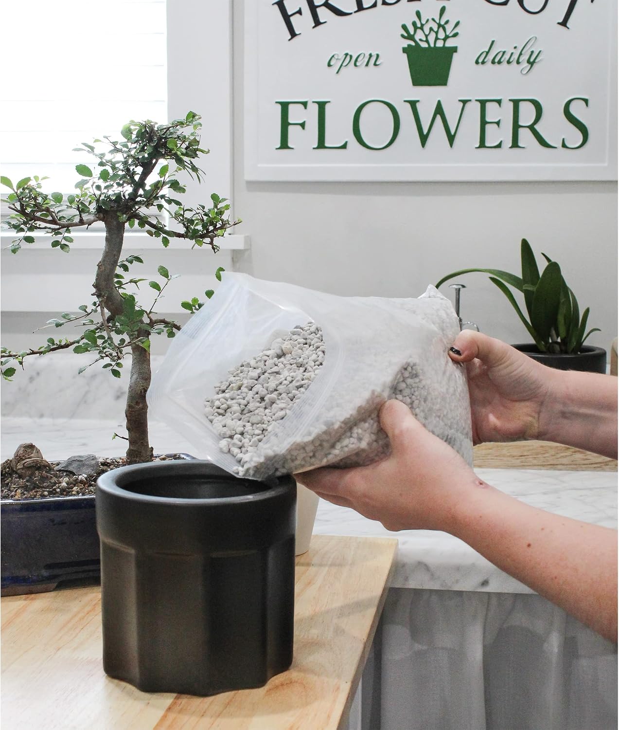 Planting Mix for Plant Propagation (4 Quarts), Hand Blended Soilless Mix for Propagating Plants, House Plants, and More