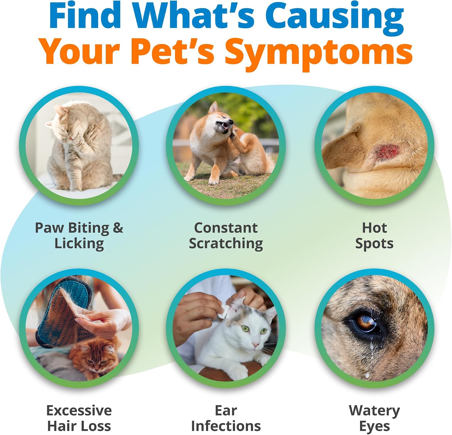 5Strands Pet Environmental Sensitivity Test, 310 Items Tested, at Home Intolerance Test for Dogs & Cats - Fabrics, Grass, Trees, Pollen