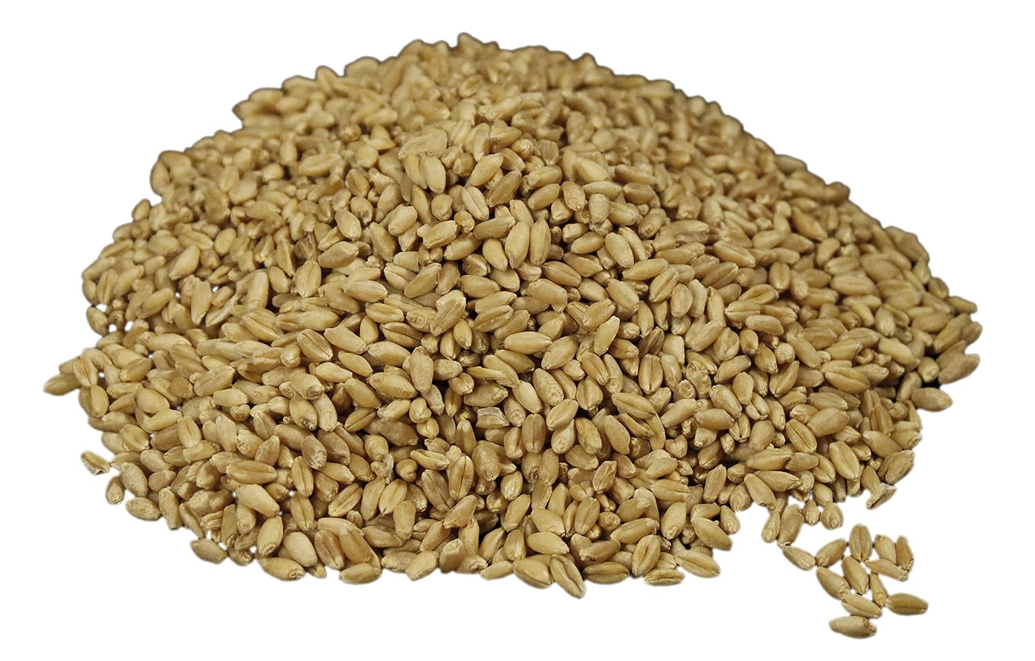 Hard Red Wheat Berries : Wheatland™ : 25 lb Bulk: Emergency Preparedness : Mylar : Oxygen Absorber : 30 Year Shelf Life : Non GMO: NO Glyphosate :
