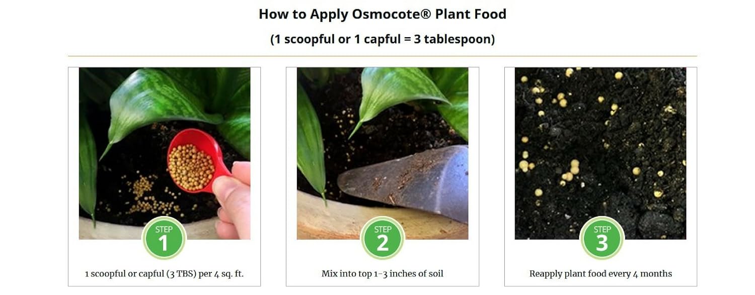 ® Osmocote Classic Flower and Vegetable Smart-Release Plant Food, 15 oz Bag (14-14-14 Plant Fertilizer)