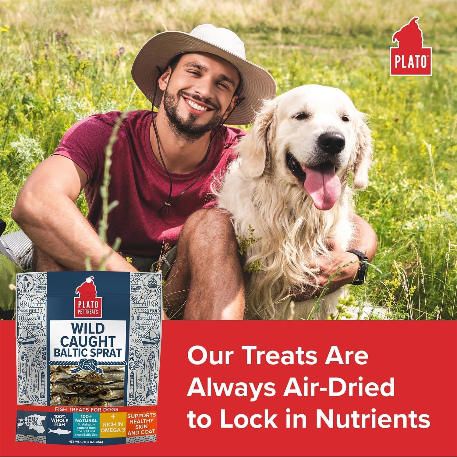 PLATO Single Ingredient Wild-Caught Baltic Sprat Dog Treats, Air-Dried Whole Fish, Omega-Rich Skin & Coat Support, 3 oz
