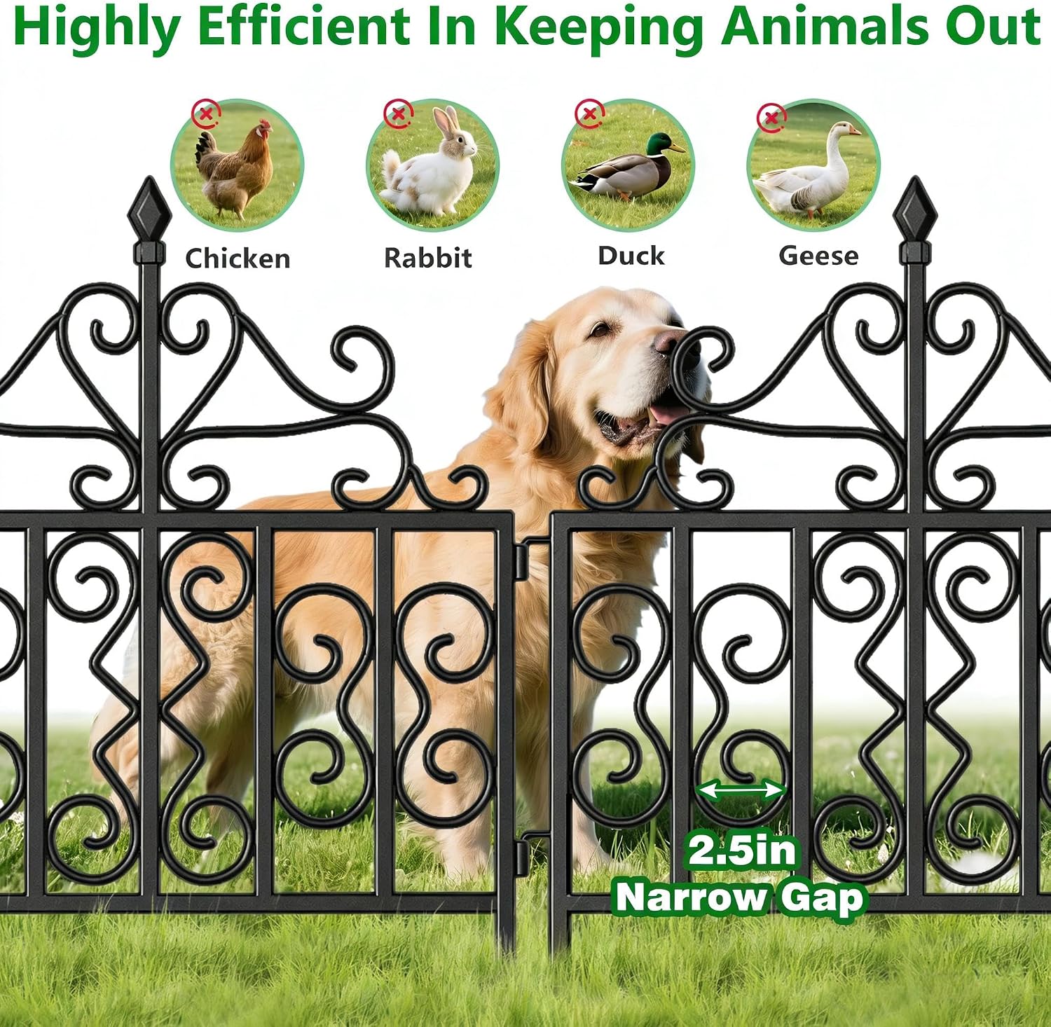 AMAGABELI GARDEN & HOME 5 Panels 32in(H)×10ft(L) Decorative Garden Fences and Borders for Dogs No Dig Rustproof Metal Fence Panels Garden Edging Border Animal Barrier Fencing for Flower Beds Black