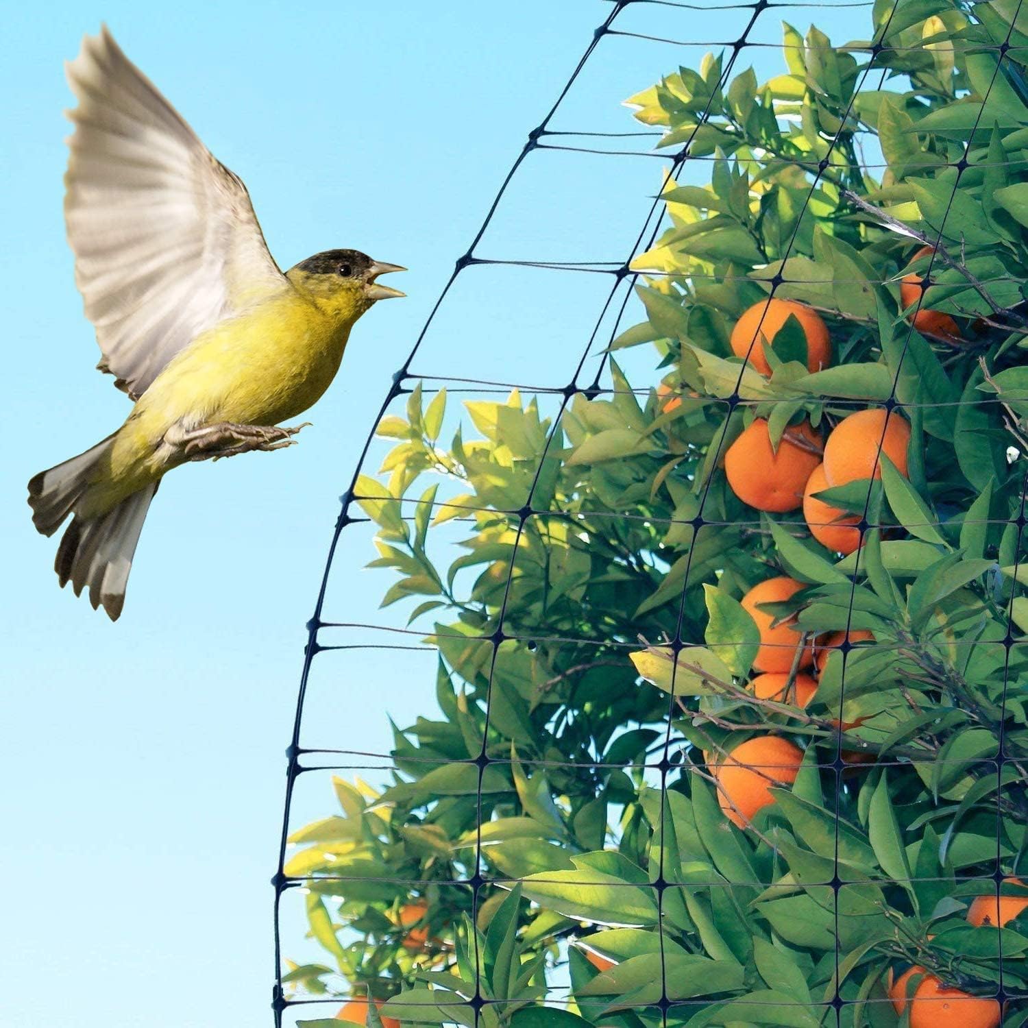 Feitore Deer Fence Netting, 7x100ft Garden Net Bird Netting