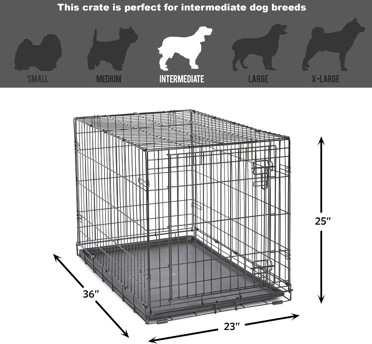 Midwest Homes for Pets 24-Inch New World Crate for Small Breeds, 12-20 lbs, Double Door Folding Dog Crate, Leak-Proof Tray & Secure Latches, Portable, Durable & Easy to Assemble