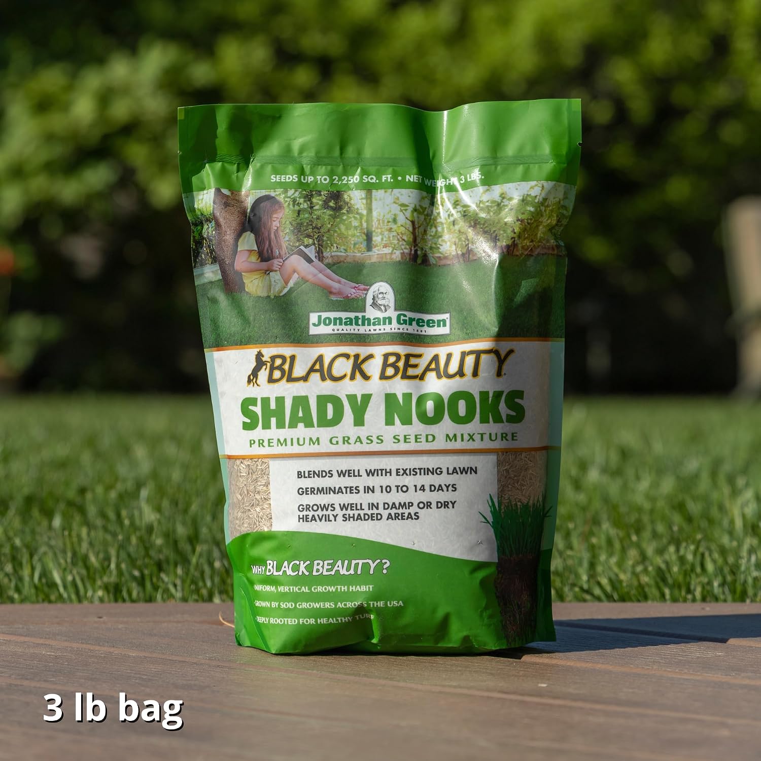 Jonathan Green (11960) Black Beauty Shady Nooks Grass Seed - Cool Season Lawn Seed (25 lb)