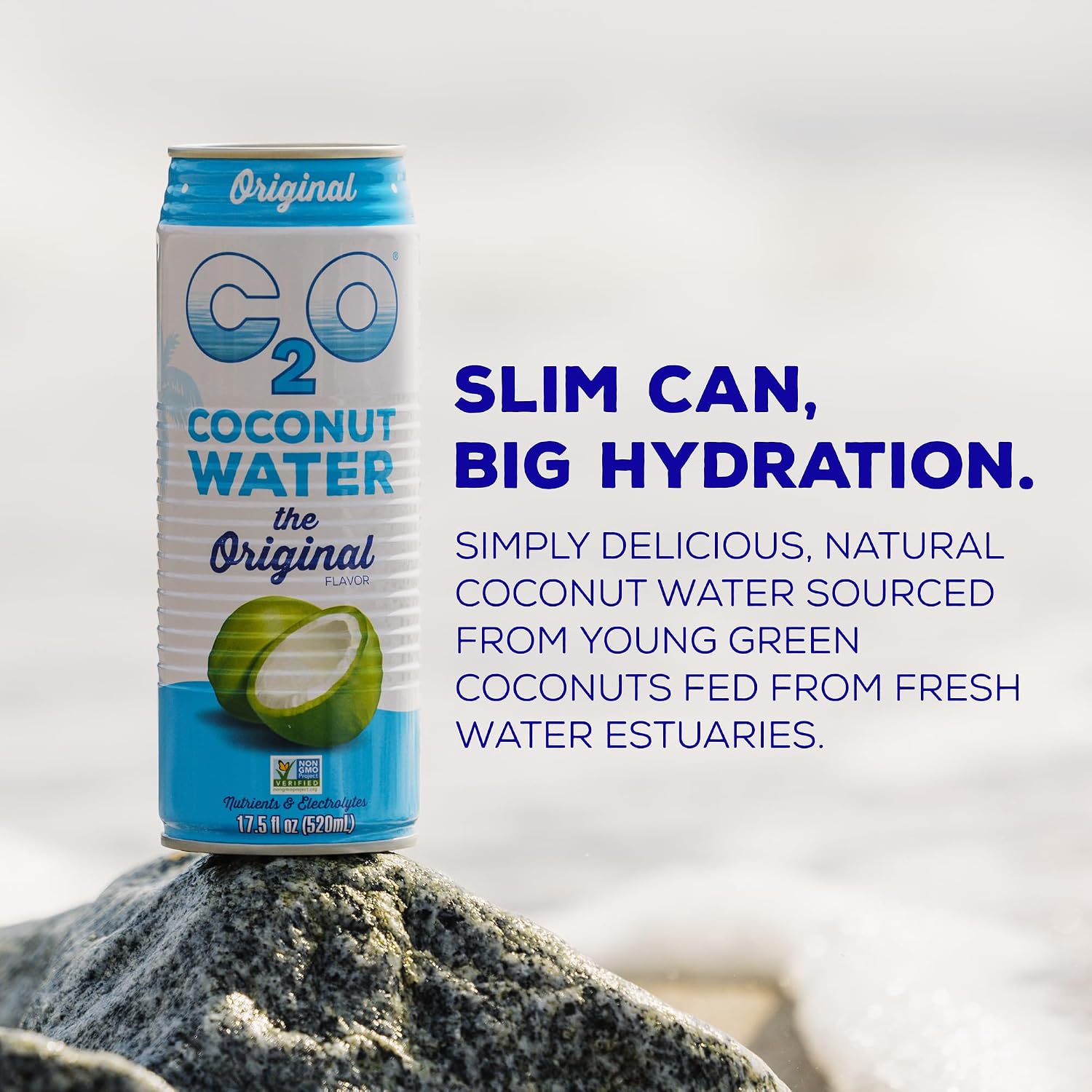 C2O - Coconut Water with Pineapple (12 Pack) - Made with Fresh Coconut Water - Plant Based - Non GMO - Canned Water - Natural Hydration, Essential Electrolytes, & Potassium - 12 Cans, 17.5 FL OZ