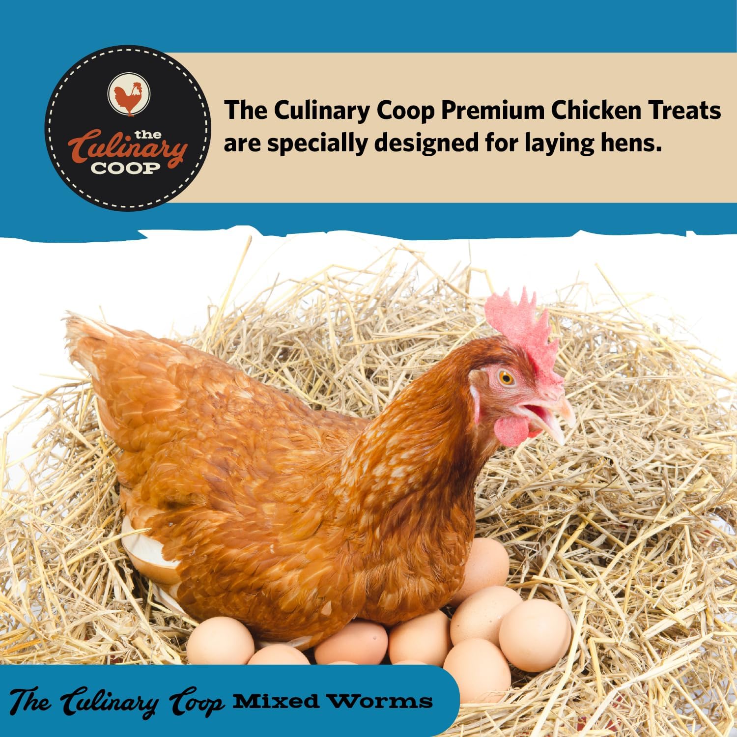 Fluker's Culinary Coop Premium Chicken Treats, Dried Soldier Worms, Packed with Protein and Calcium, 100% Natural Rich Grubs for Chicken, Backyard Birds, and Reptiles, 16 oz