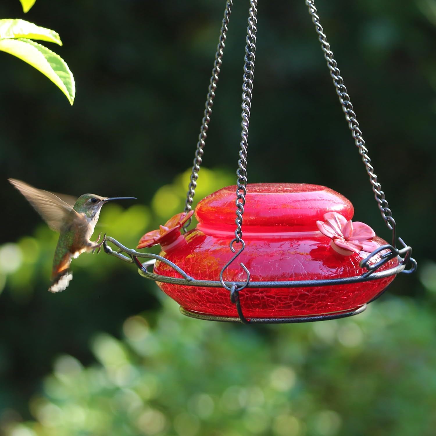 Nature's Way Bird Products MHF4 Hand Blown Garden Top Fill Hummingbird Feeder, 16 oz Capacity, Red