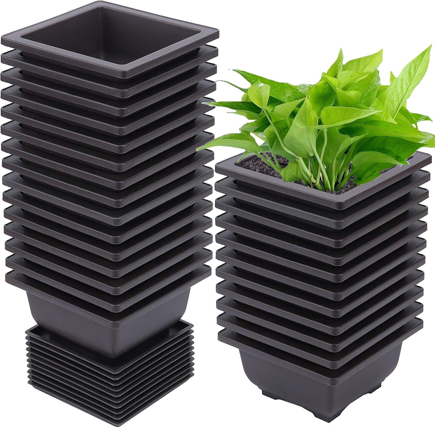 15 PCS 6.5 Inch Bonsai Training Pots with Trays, Rectangular Plastic Growing Pots, Flower Succulent Pots Container for Garden, Yard, Office, Porch