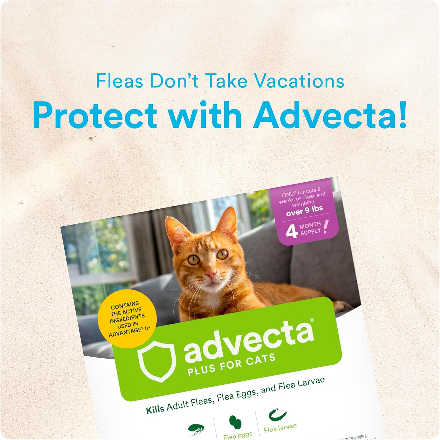 Advecta Plus Cat Flea Treatment 5-9 lbs, Imidacloprid, 4-Month | Ideal for Small Cats 5-9 lbs; Kills Adult Fleas in 12 hrs; 4-month supply; Breaks Flea Life Cycle