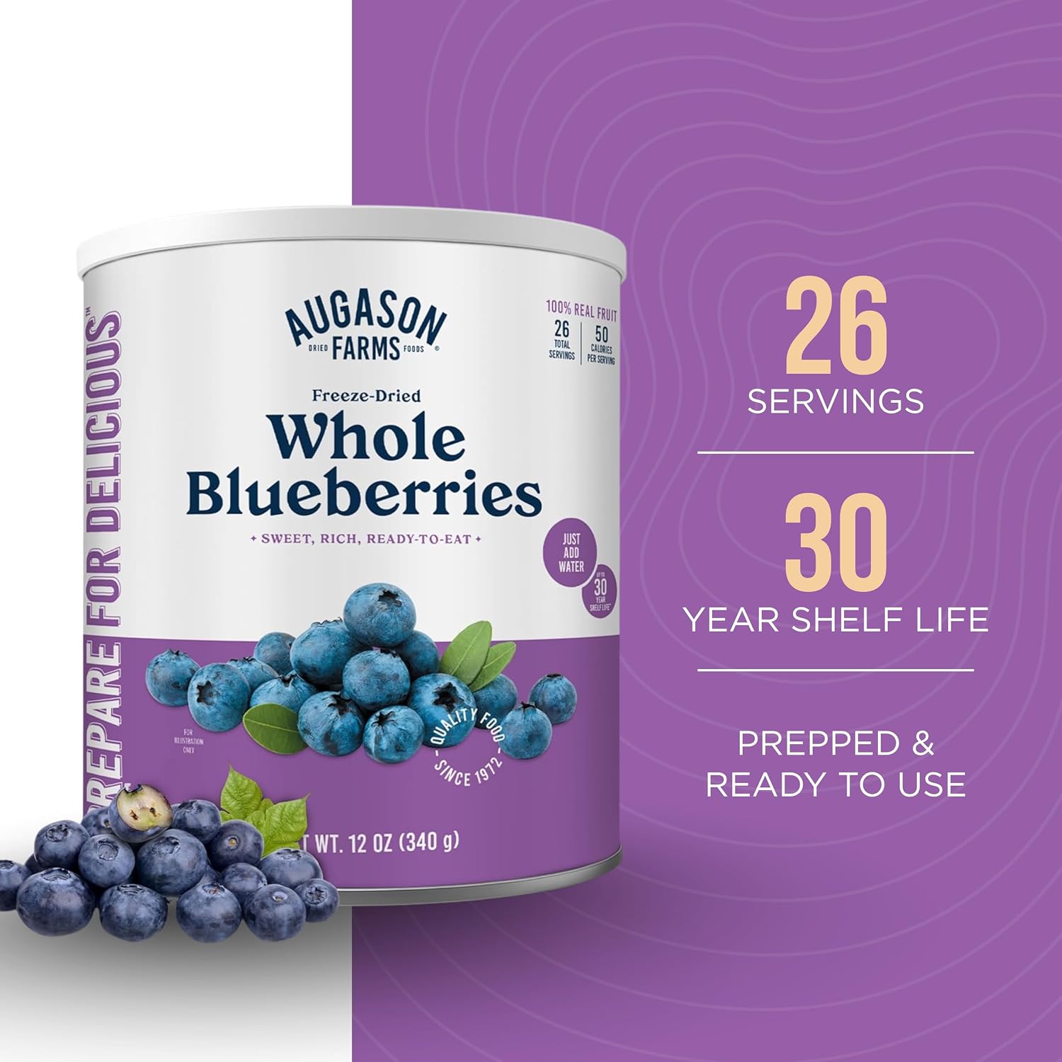 Augason Farms Freeze-Dried Whole Blueberries Can | Emergency Food Supply, 26 Servings, 30 Year Shelf Life, Great for Cooking, Baking, and Snacks
