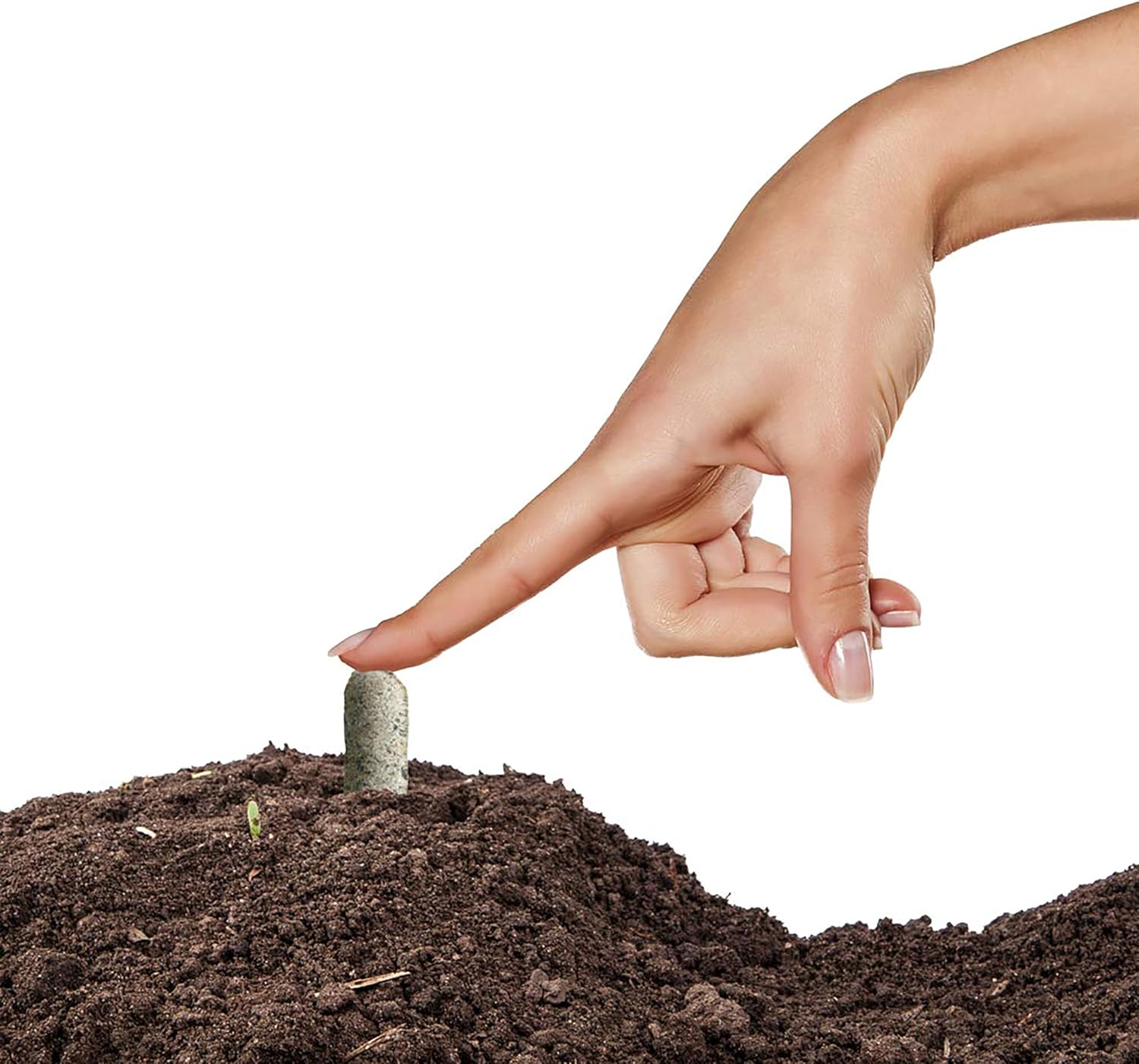 Jobe’s Organics All Purpose Fertilizer Spikes, Easy Plant Care Fertilizer for Vegetables, Flowers, Shrubs, Trees, and Plants, 50 Count