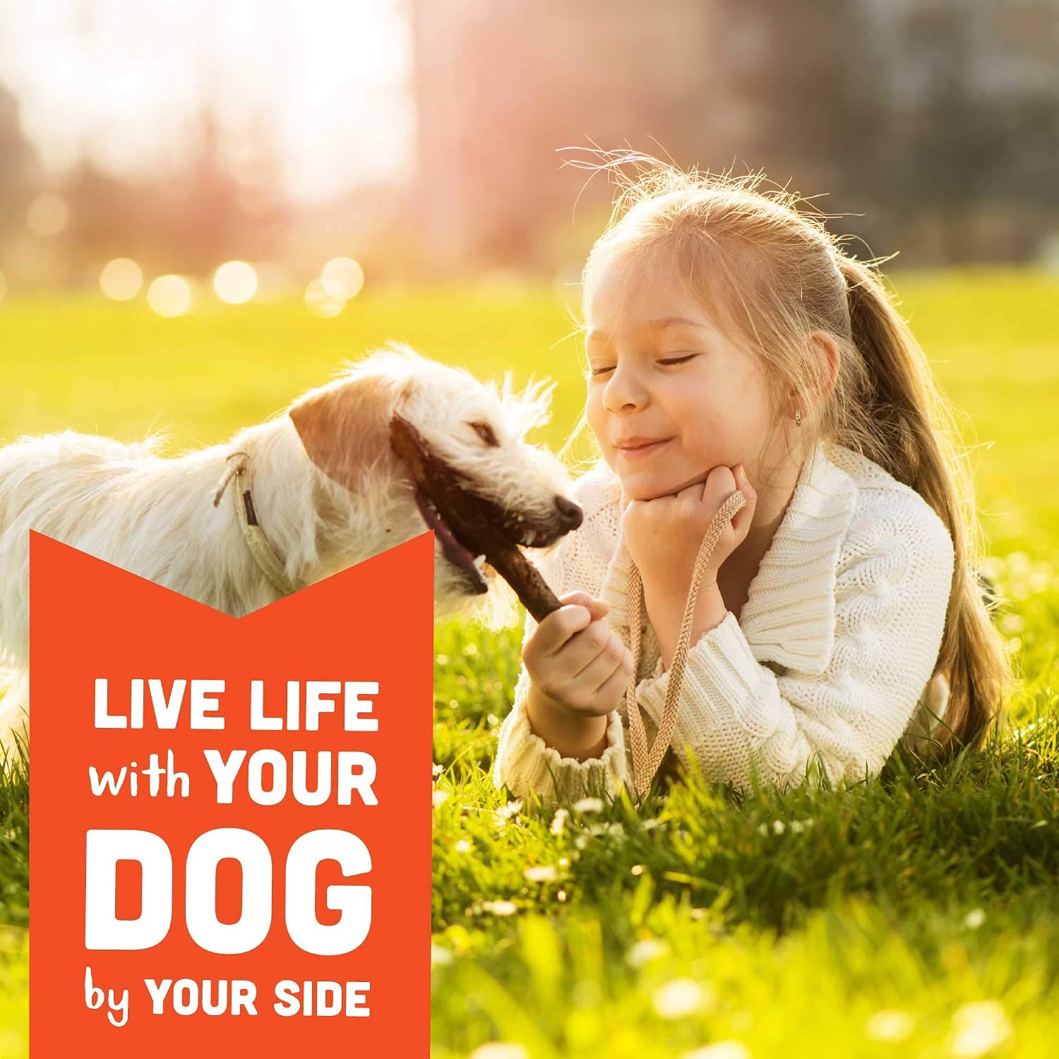 Cloud Star Wag More Bark Less - Dog Treats - Soft Chews - Grain Free Chicken & Sweet Potato - 5 oz Pouch