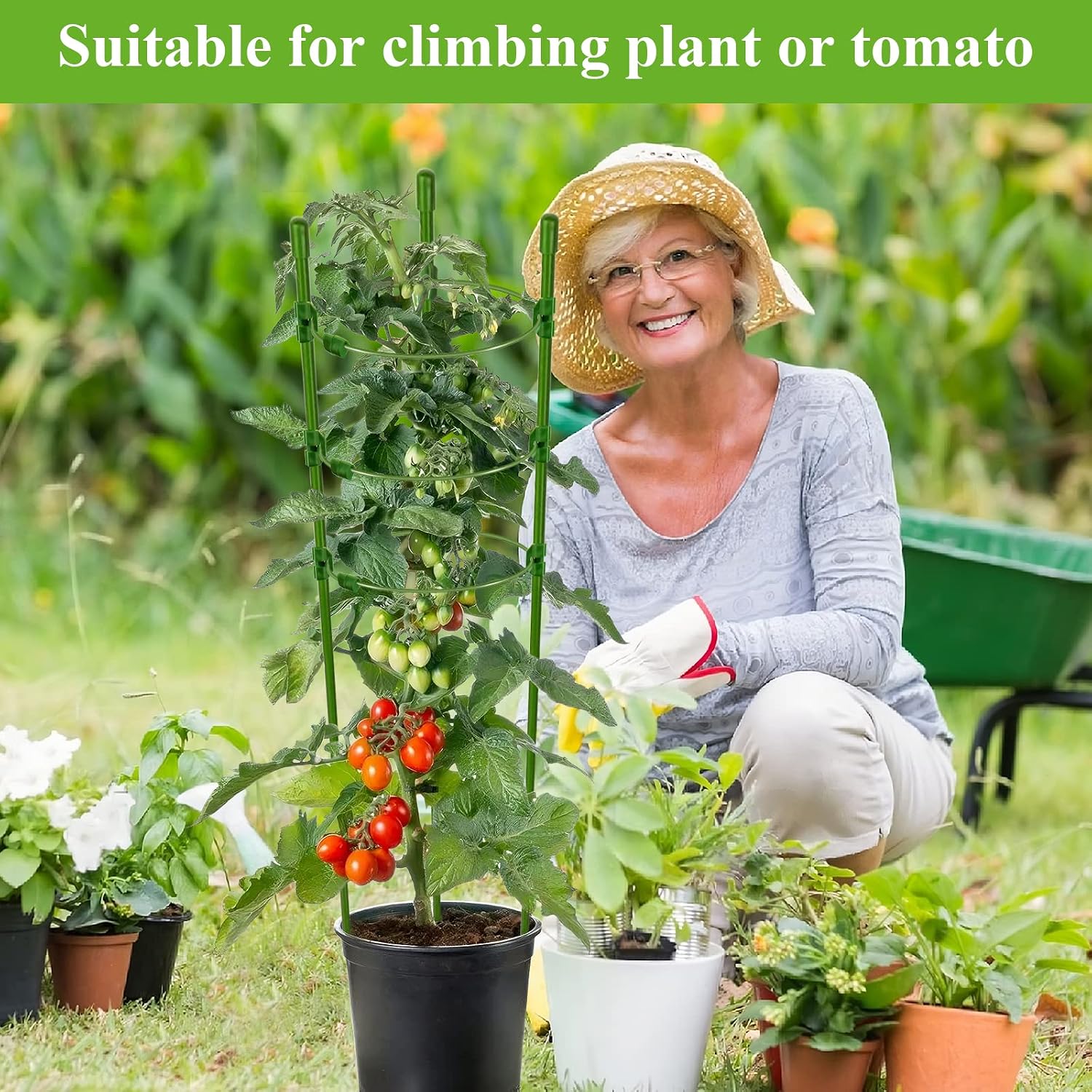 Legigo 3 Packs Plant Support Cages Tomato Cage for Garden- 18 Inch Adjustable Garden Cucumber Trellis Plant Stakes