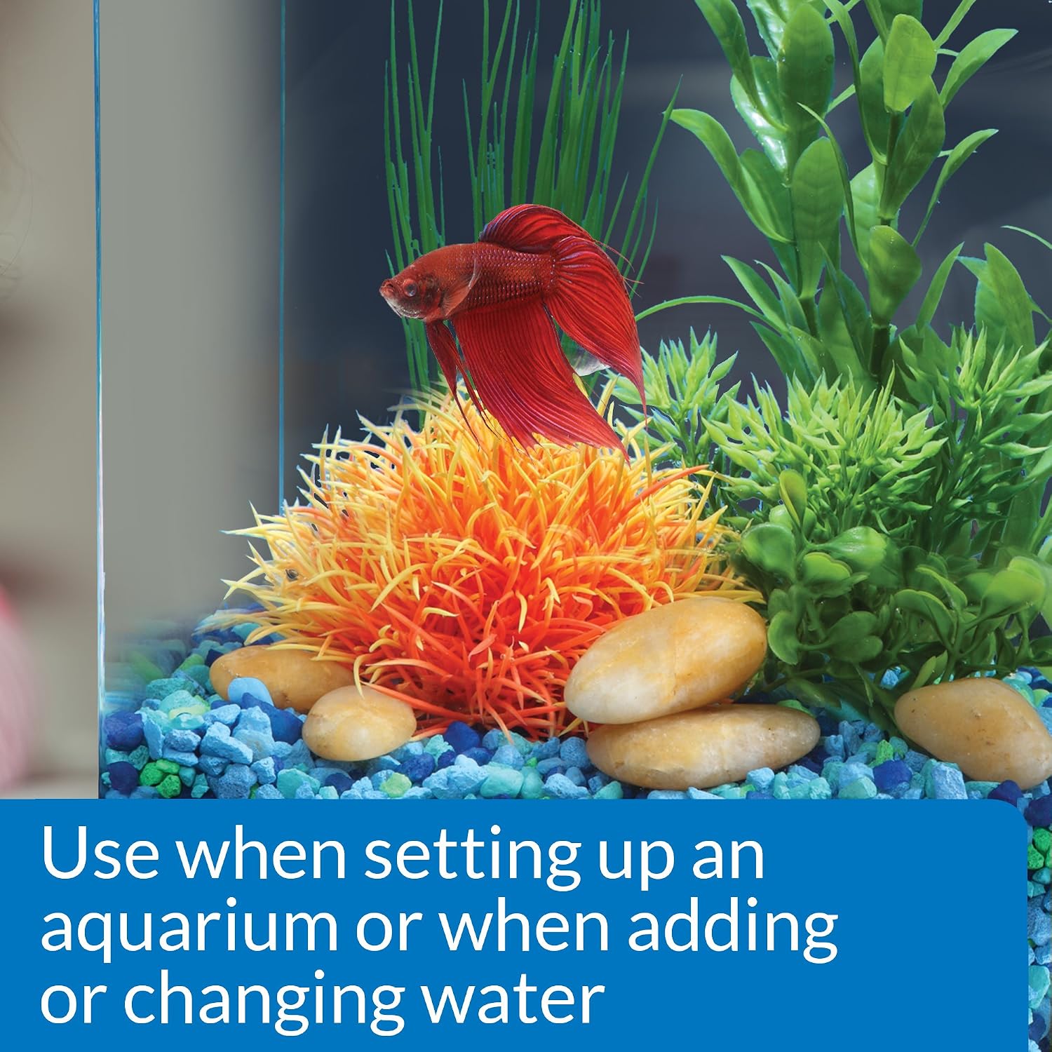 API BETTA WATER CONDITIONER Betta Fish Freshwater Aquarium Water Conditioner 1.7-Ounce Bottle